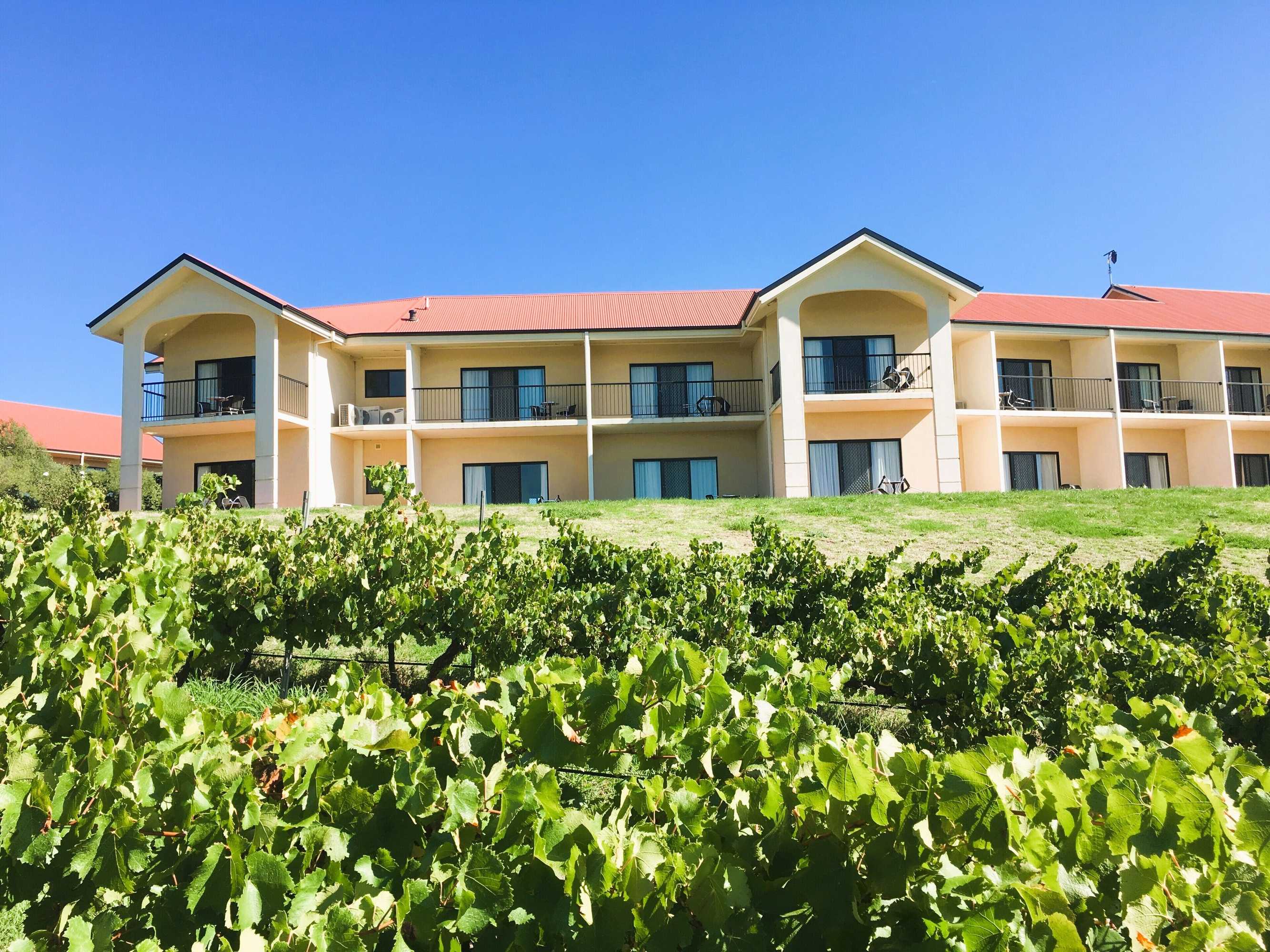 Gift card for Turners Vineyard Gift card for Turners Vineyard