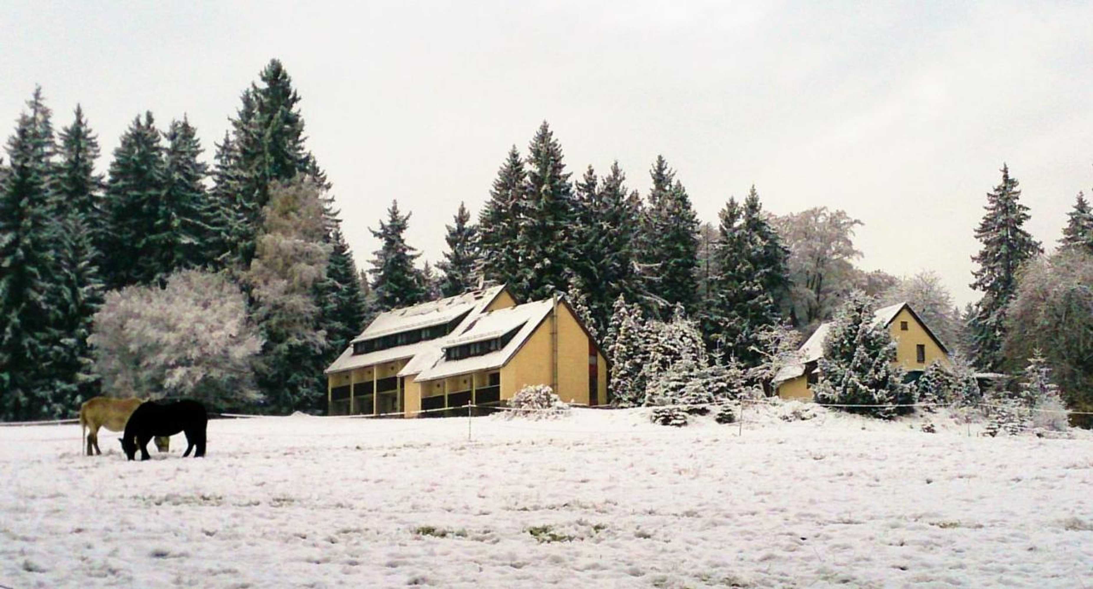 Gift card for Waldhotel Zöbischhaus