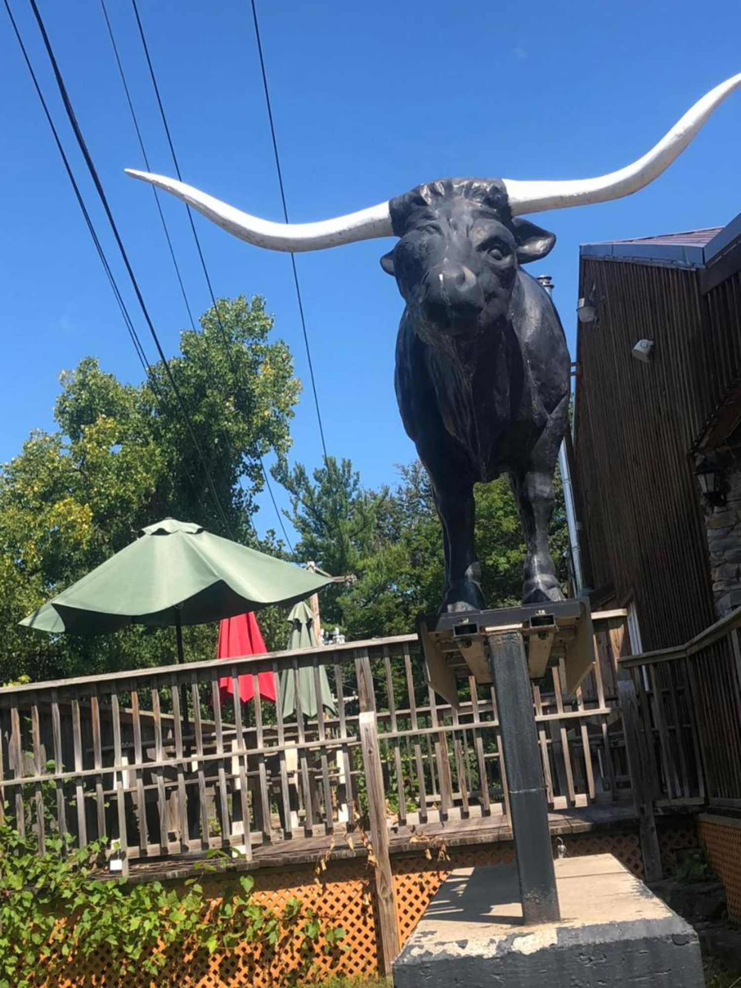 Gift card for Cabin & Motel Rentals