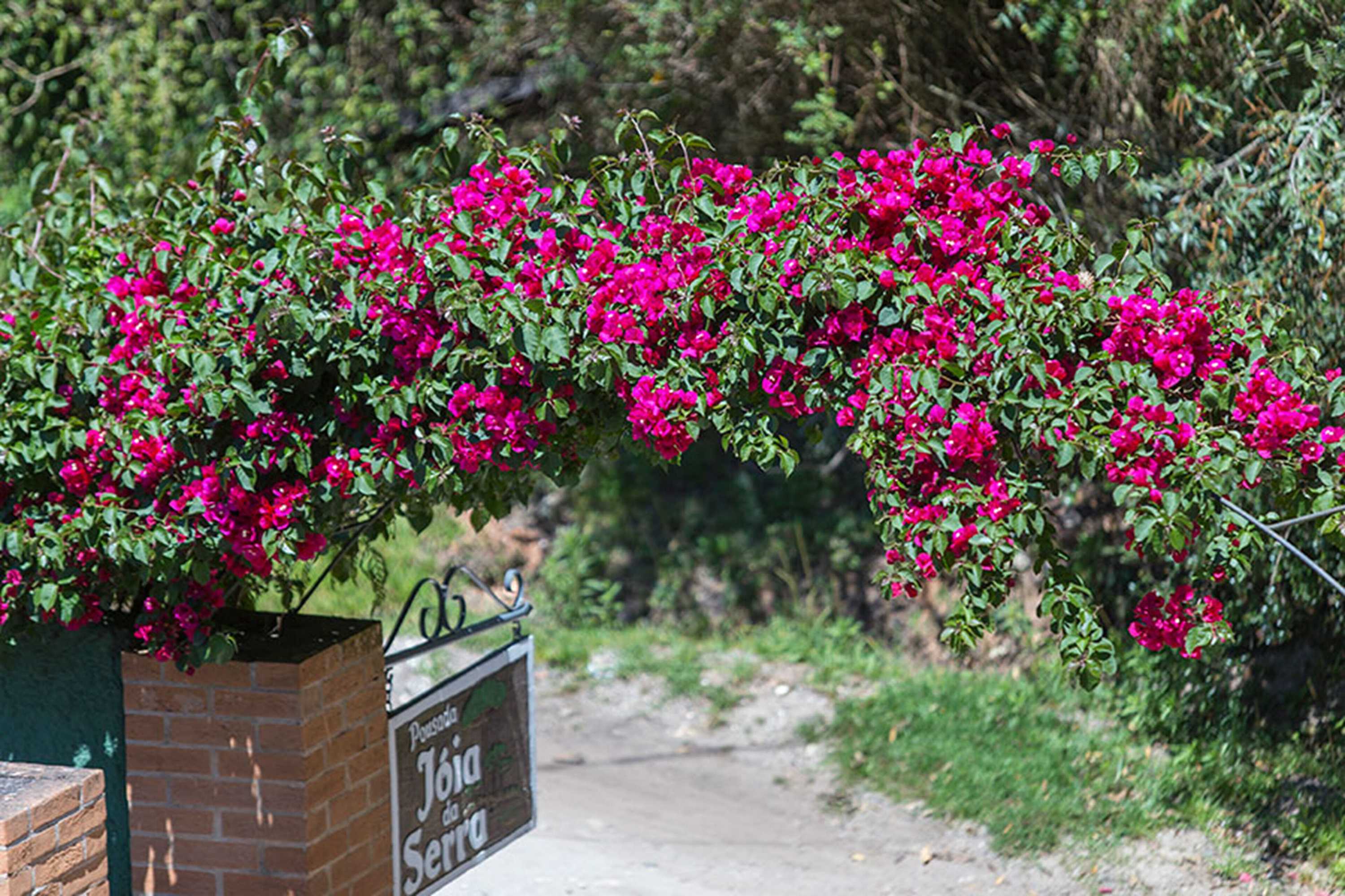 Gift card for Pousada Joia da Serra by Hotel Platanus Gift card for Pousada Joia da Serra by Hotel Platanus