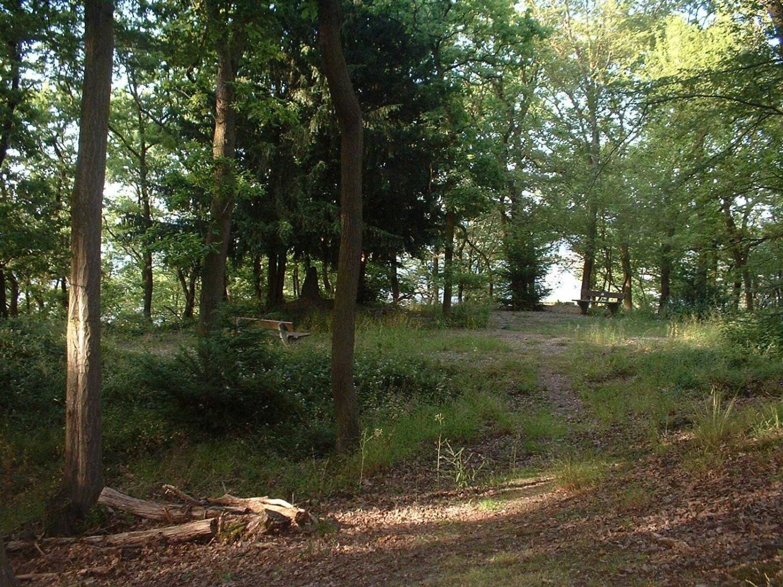 Gift card for Hotel Niederée