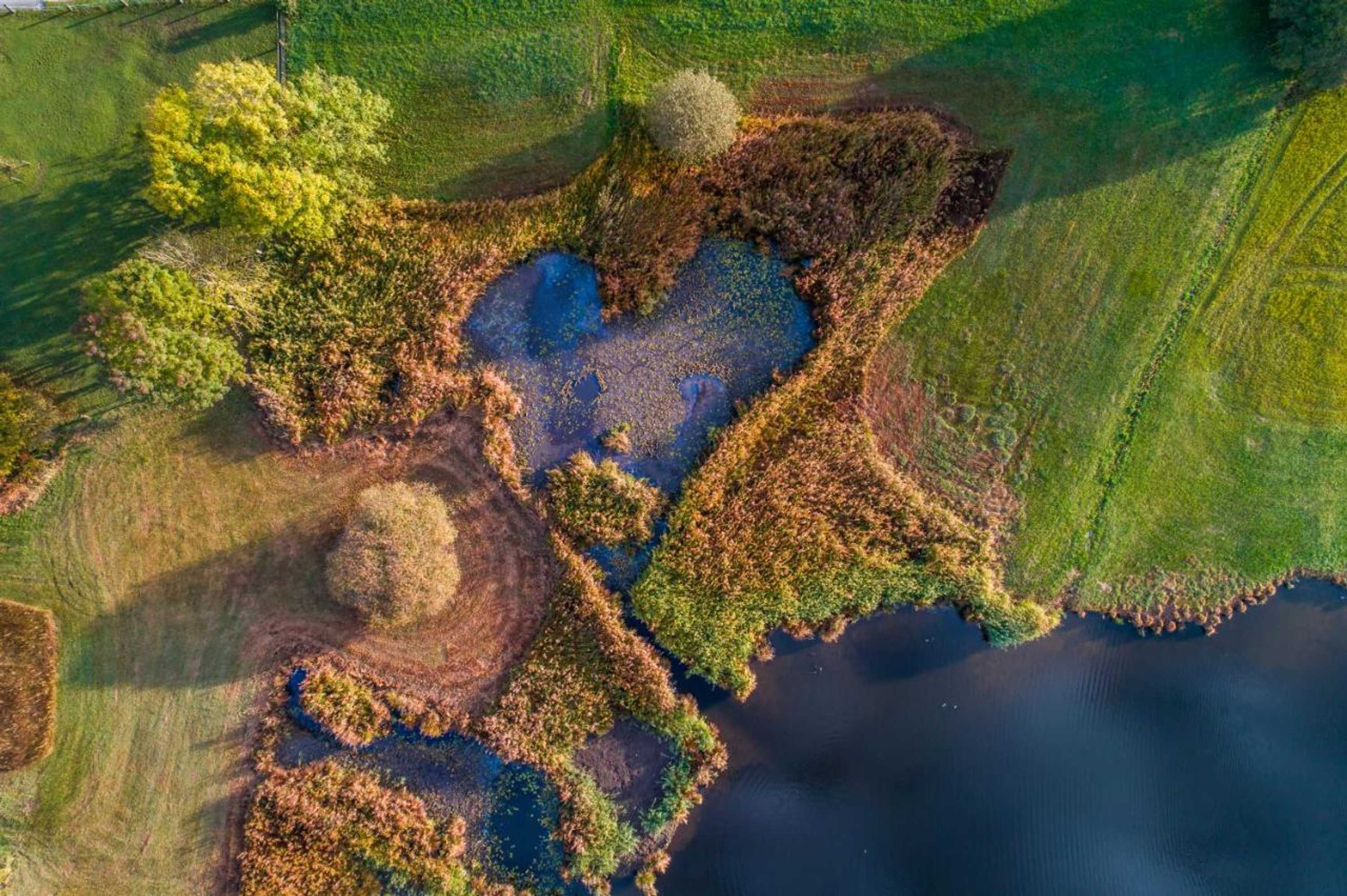 Gift card for Hotel Löwen