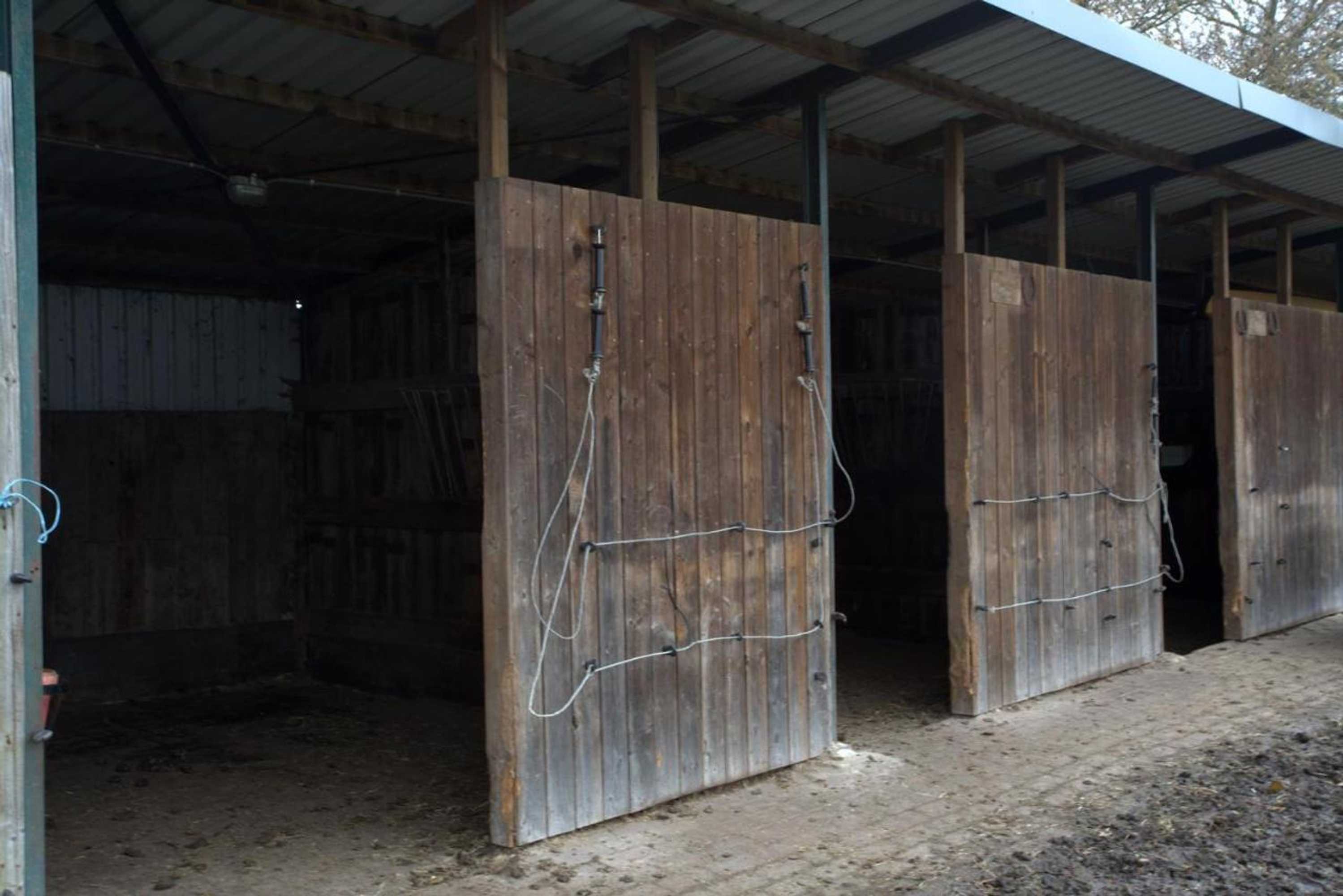 Gift card for B&b Dream On Wheels