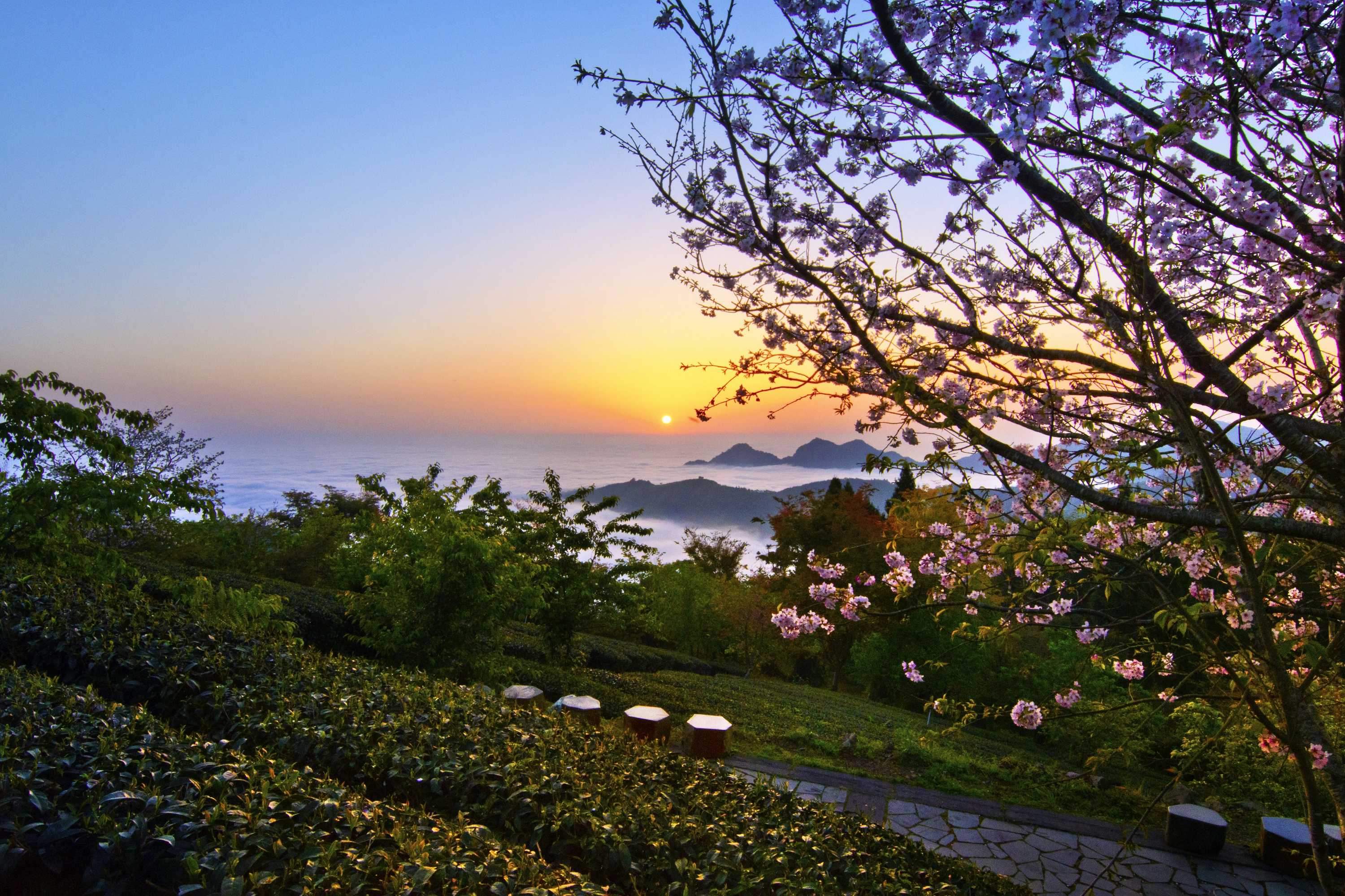 Gift card for Zhu Yuan Homestay