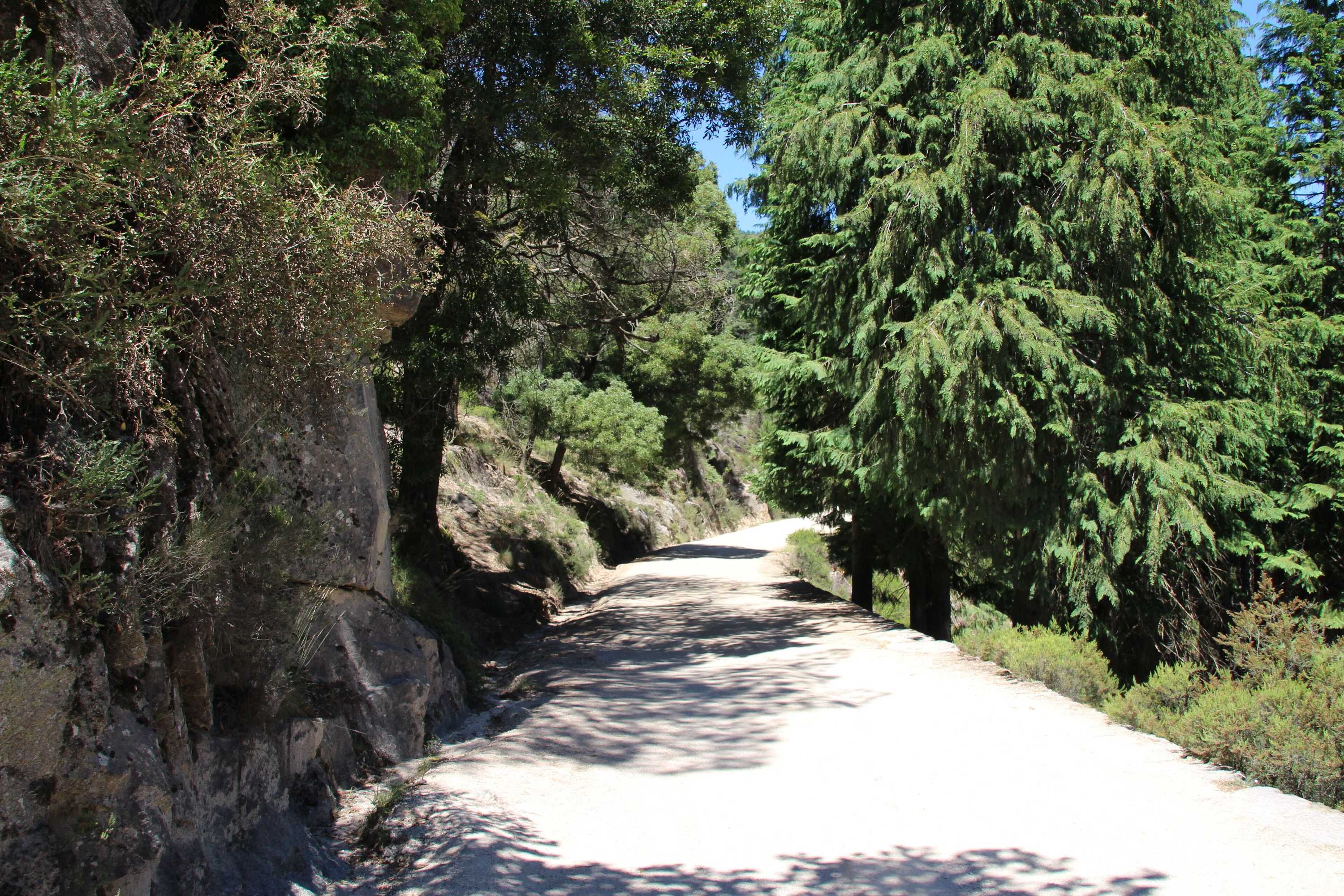 Gift card for Villa Branca Barreiros Bed & Breakfast