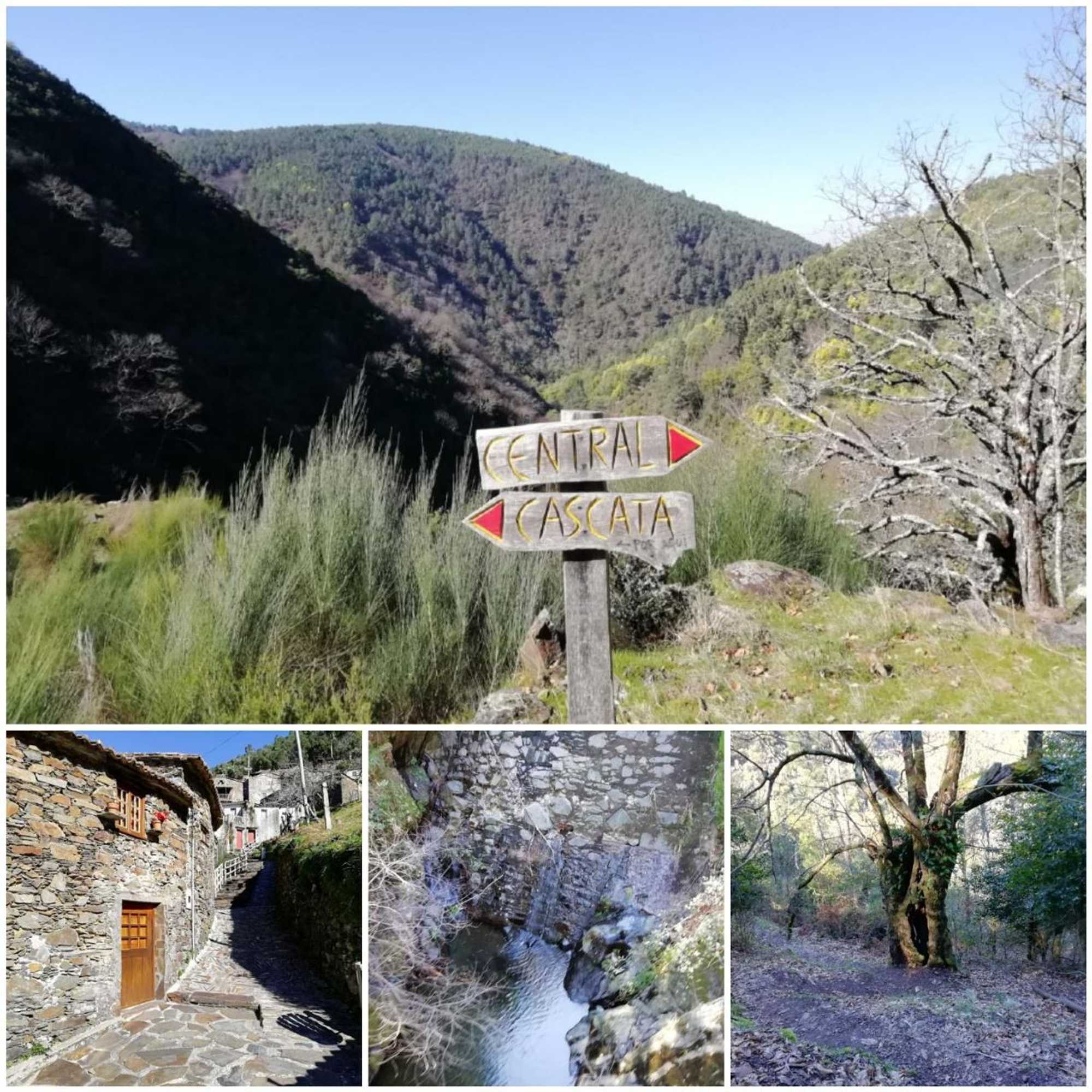 Gift card for Quinta no Pinhal