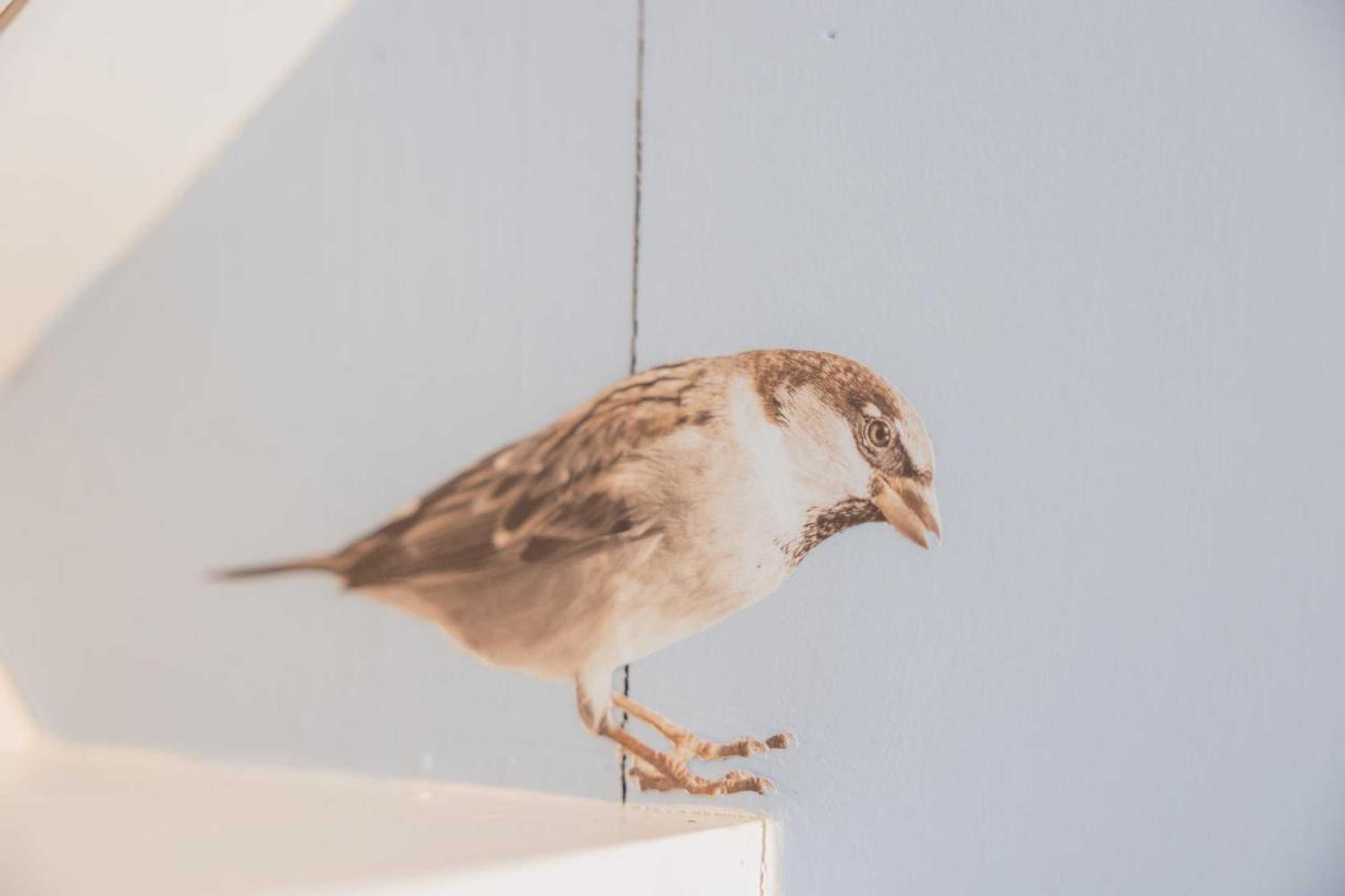 Gift card for De Friese Wouden