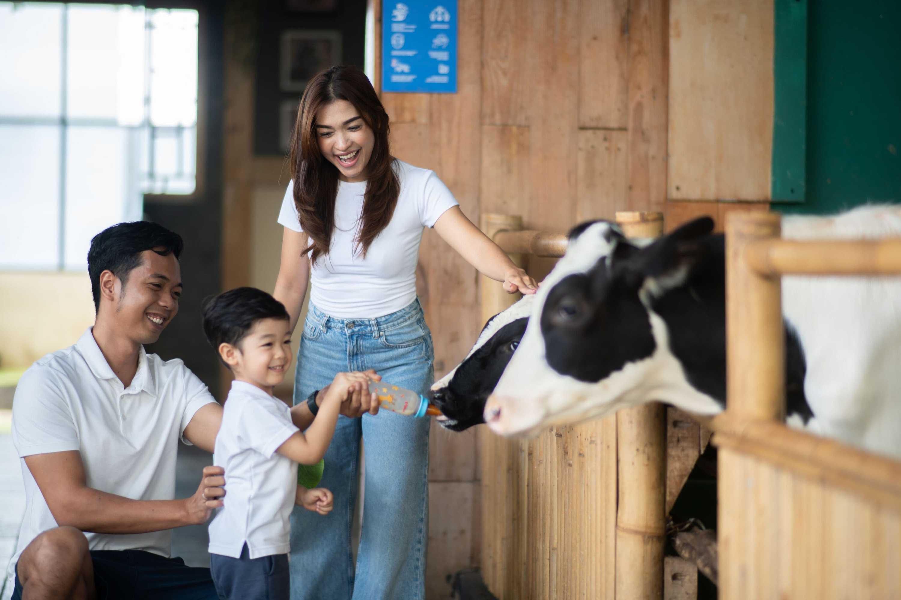 Gift card for Grand Tjokro Premier Bandung