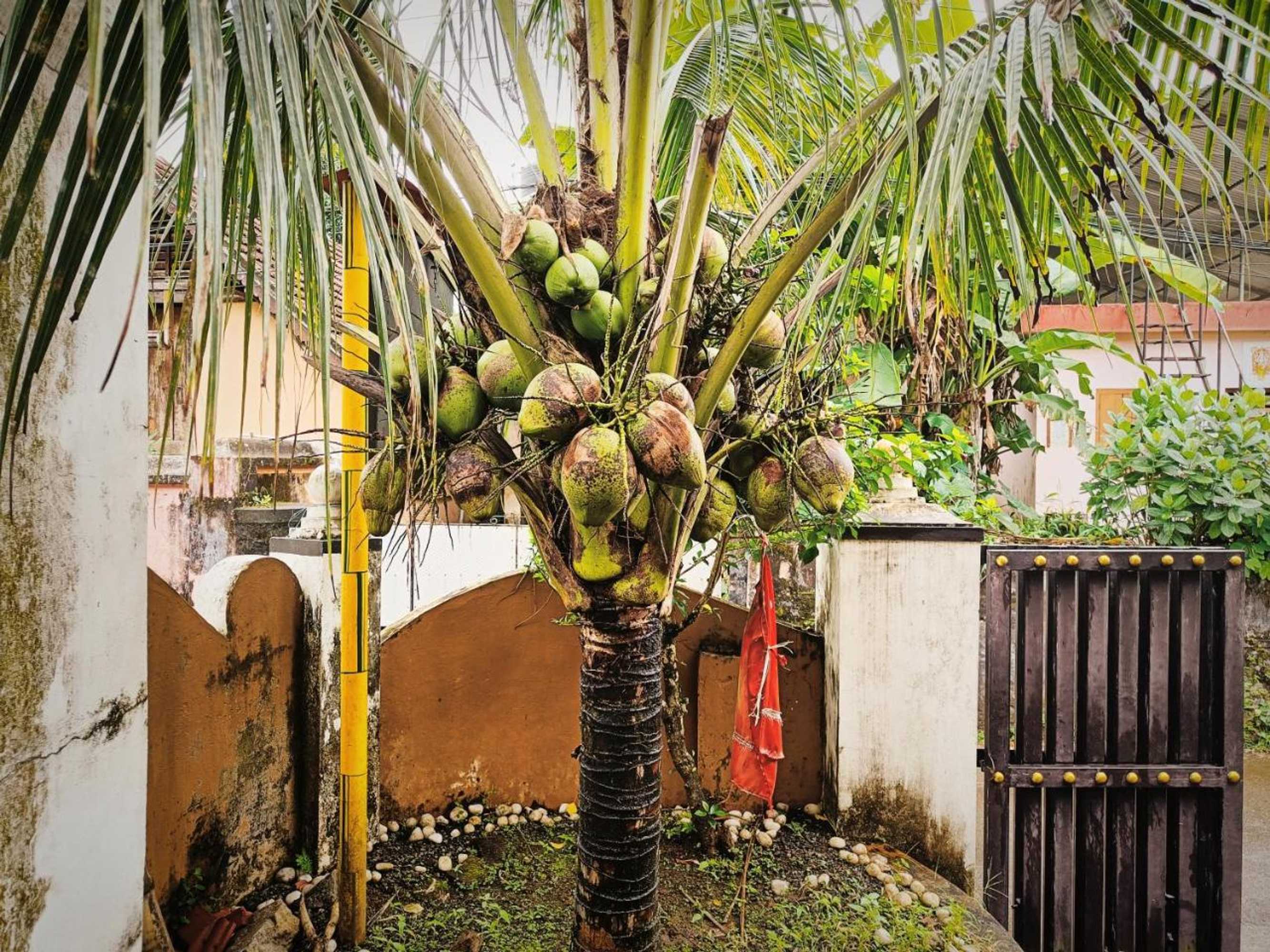 Gift card for Swasthi Griha