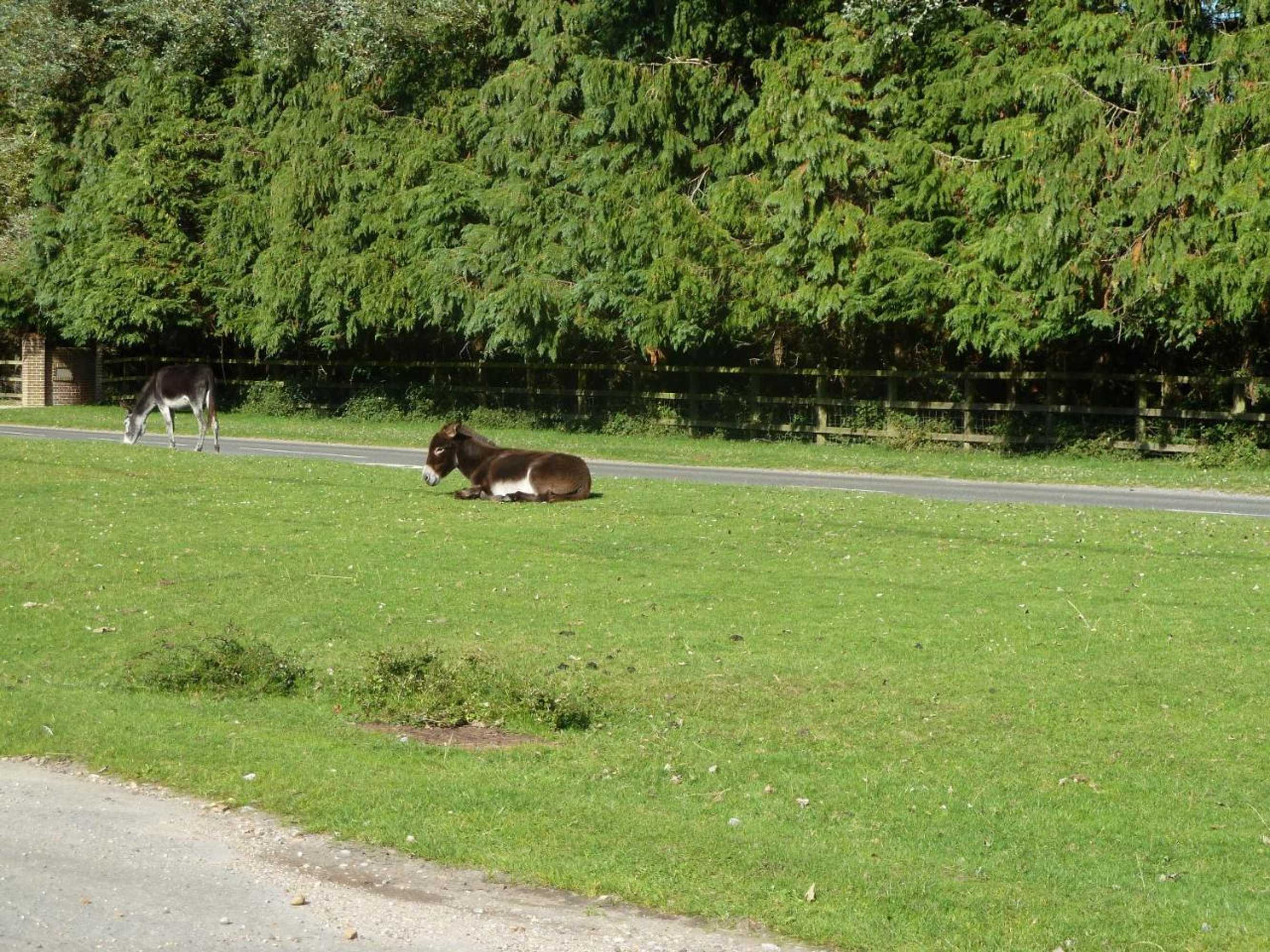 Gift card for Cameron House