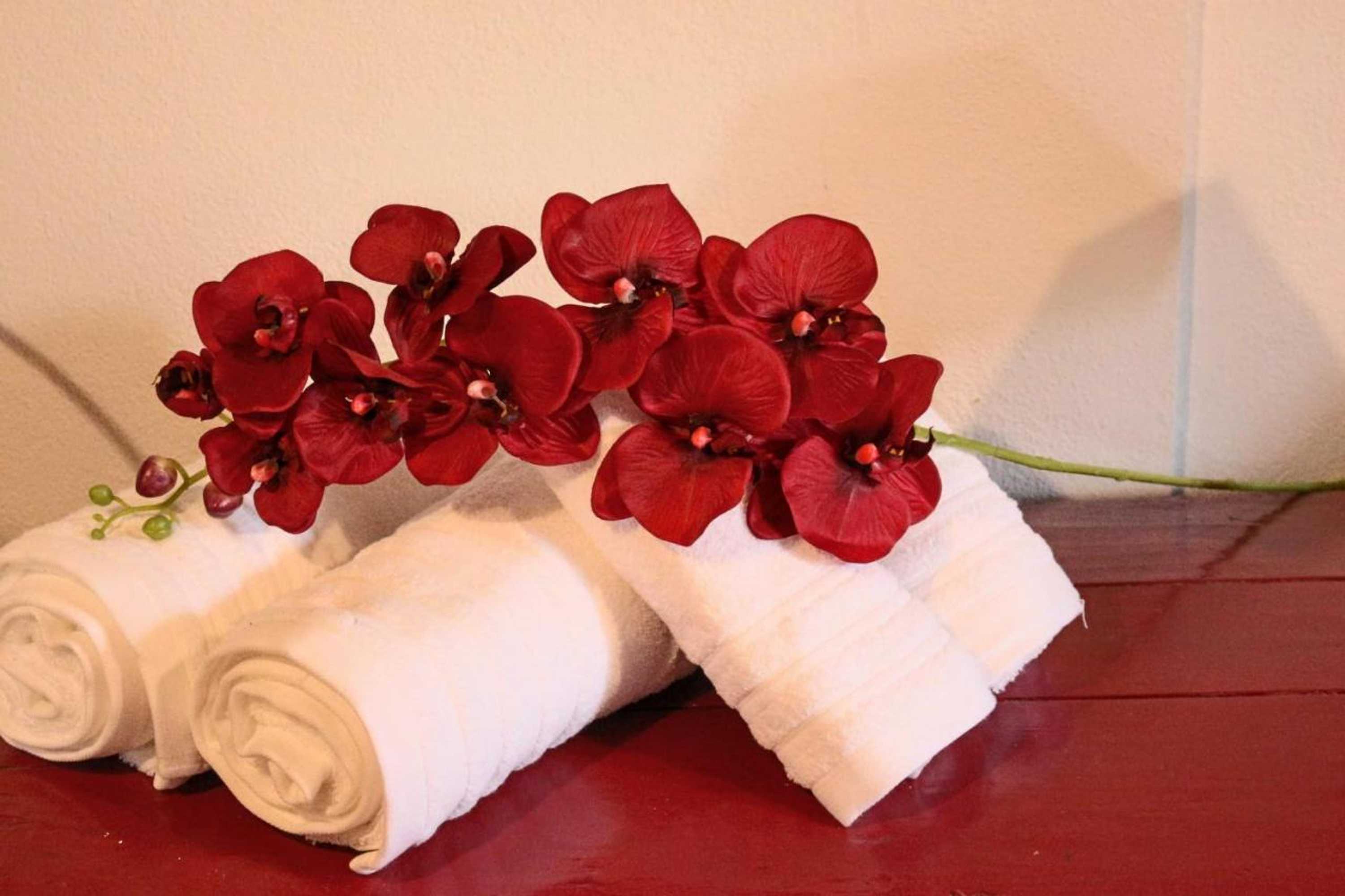 Gift card for Quinta da Ti Júlia