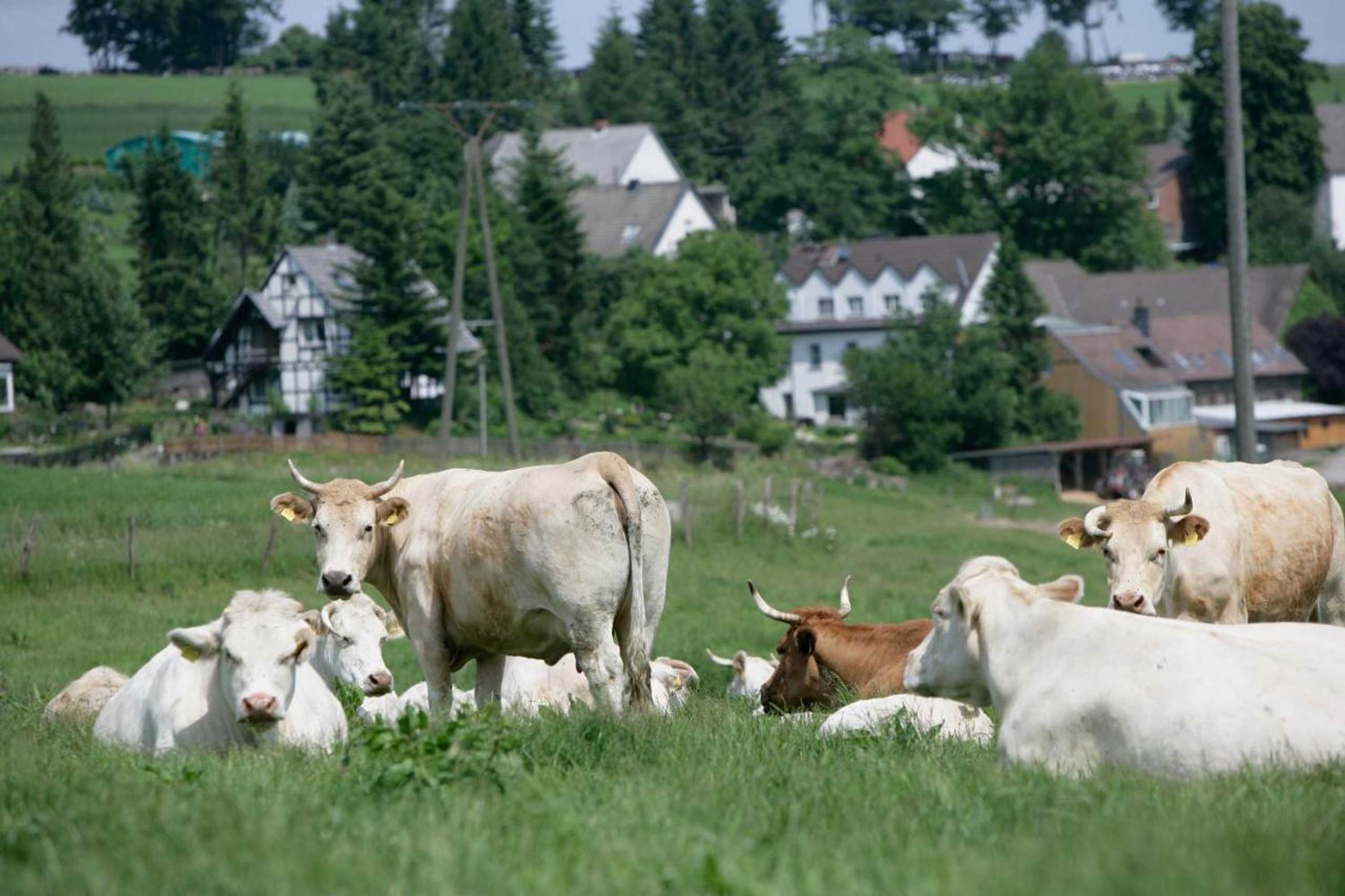 Gift card for Schultenhof