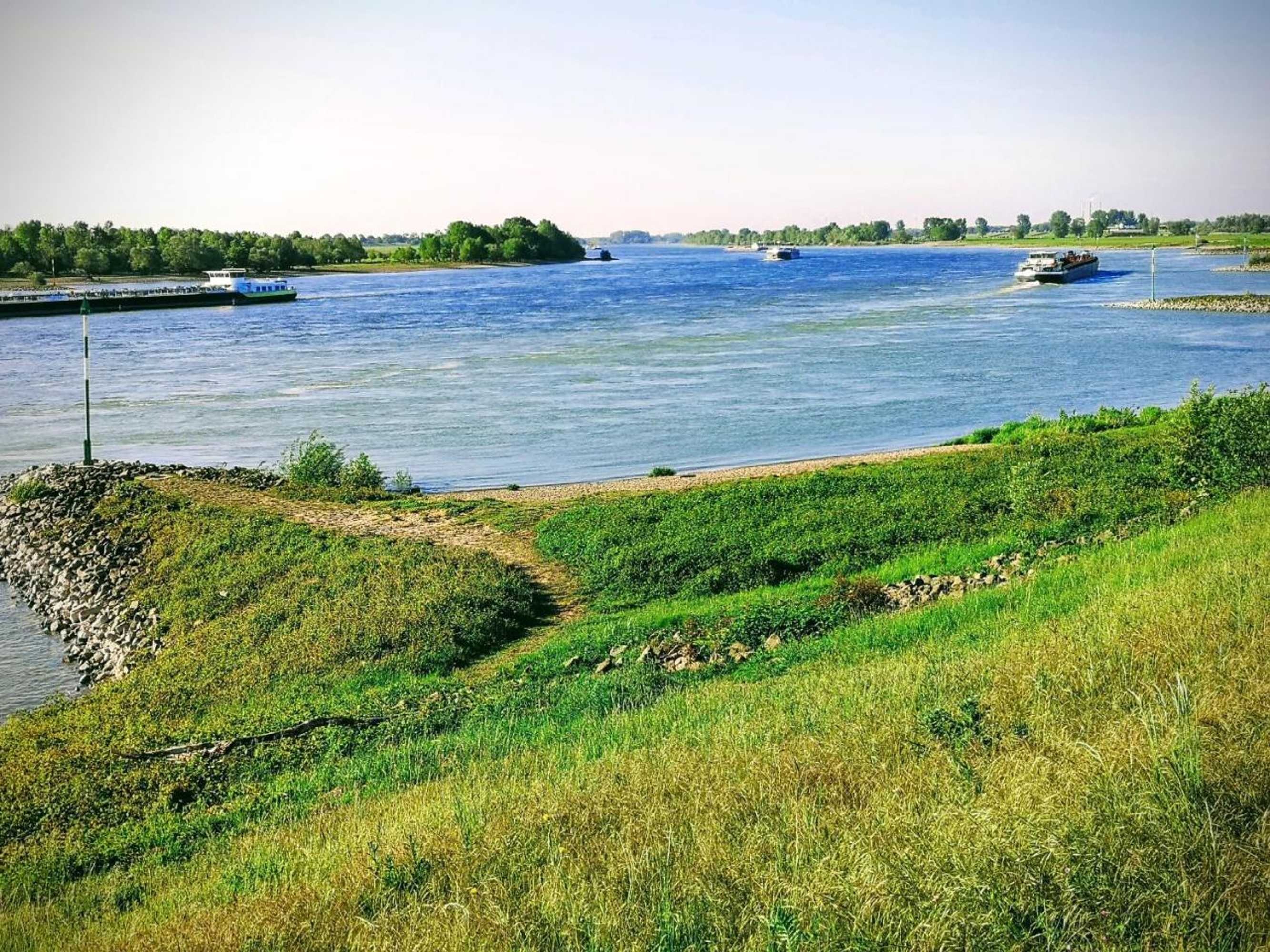 Gift card for Casa Nostra