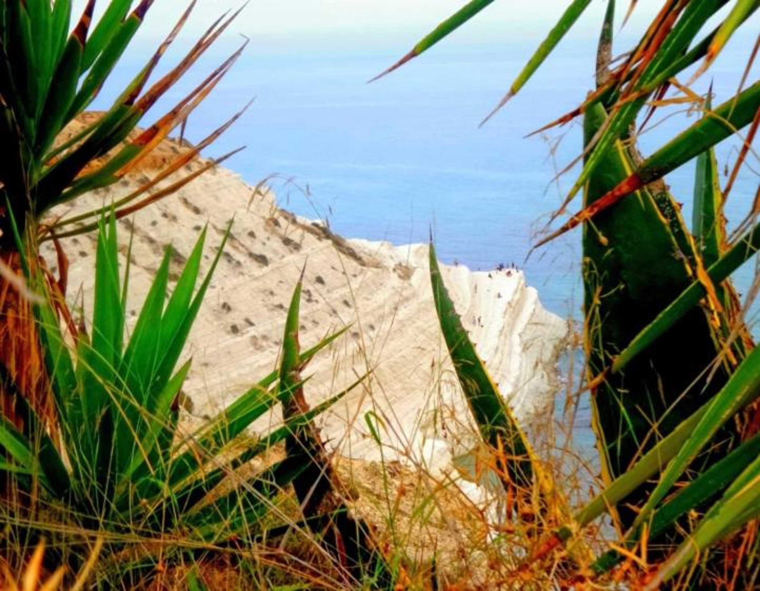 Gift card for La Bianca Scogliera