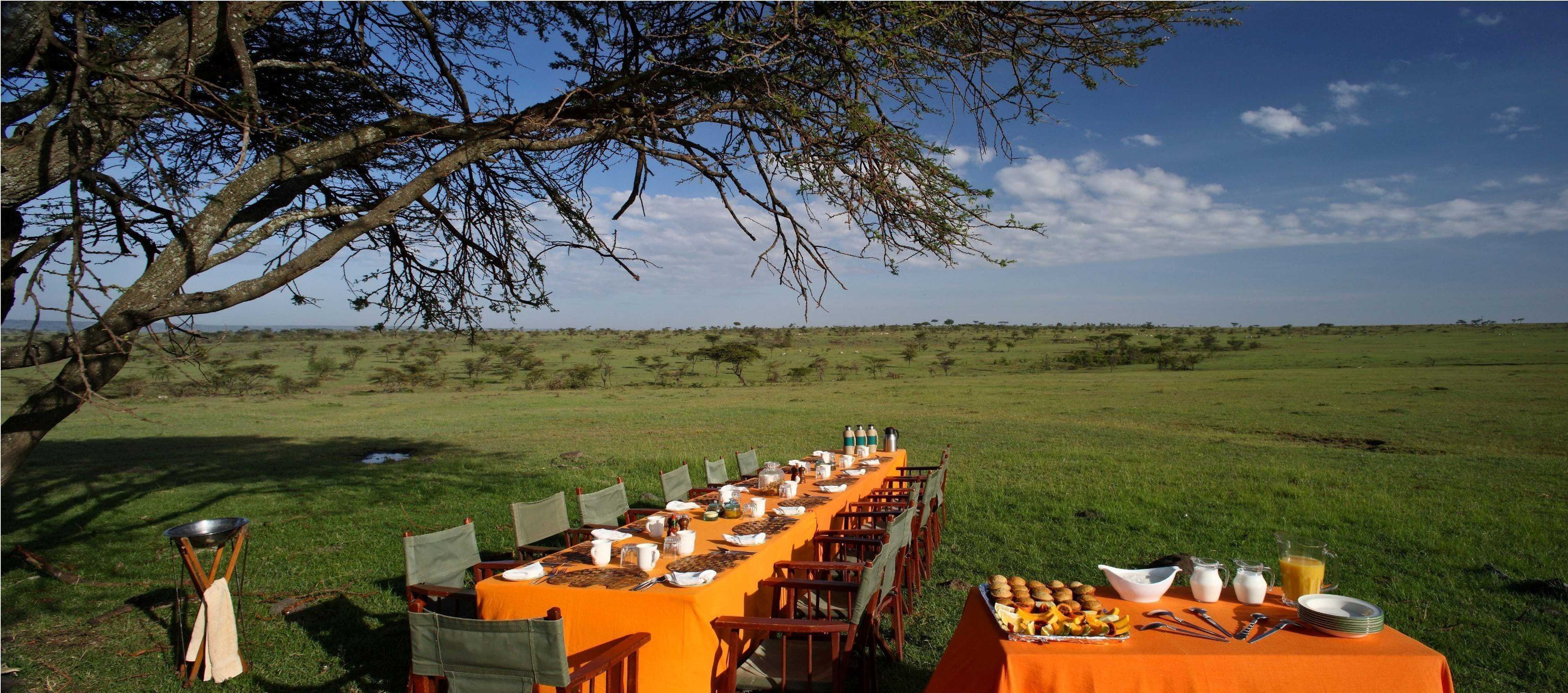Gift card for Elewana Elephant Pepper Camp Gift card for Elewana Elephant Pepper Camp