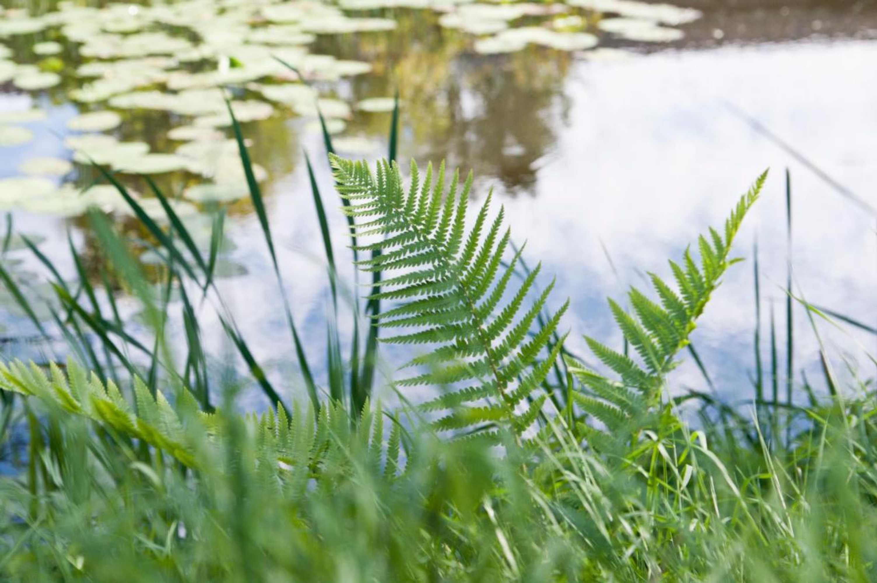 Gift card for Kasteel Aldenghoor