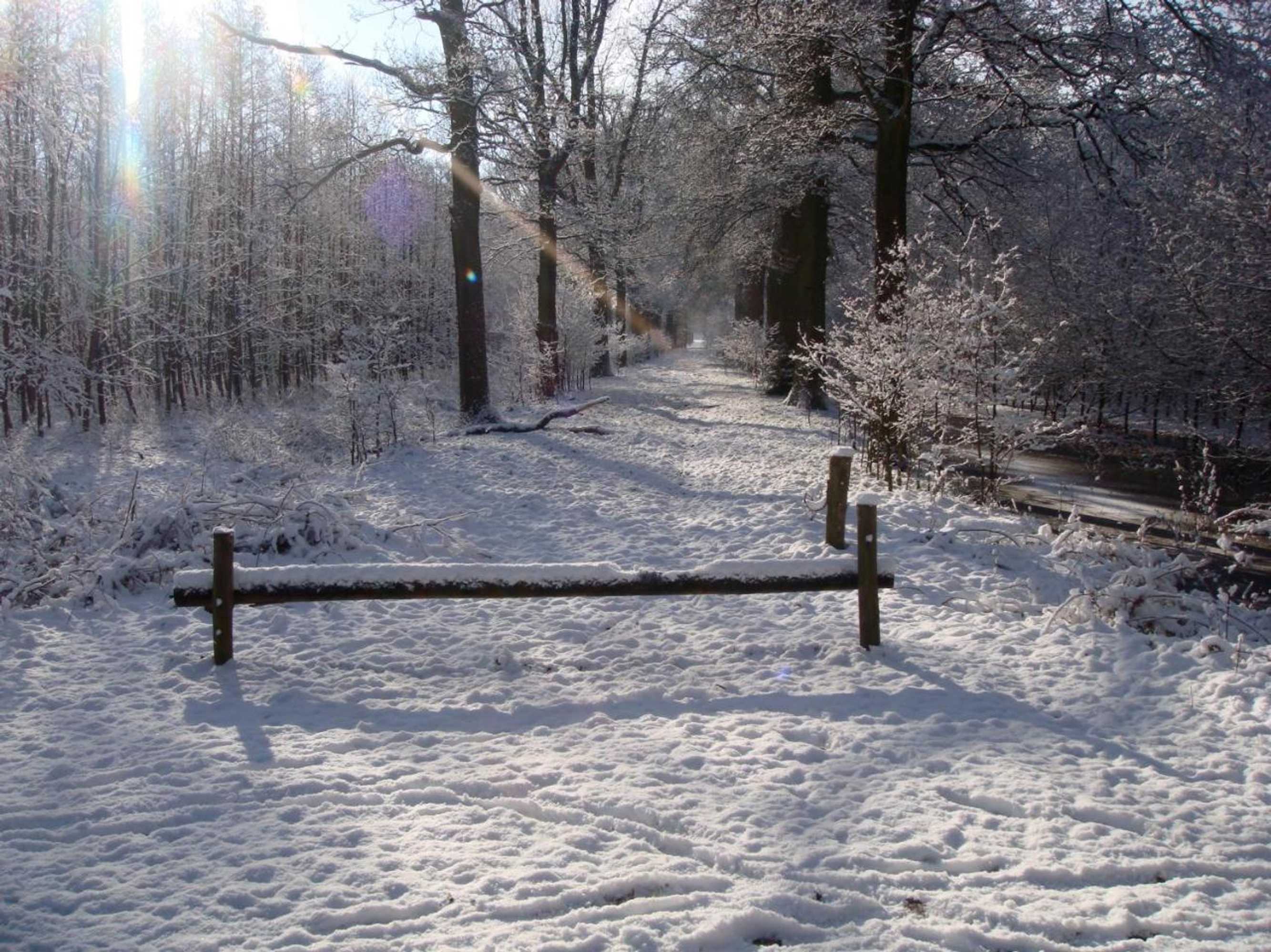 Gift card for B&b De Grote Plaats