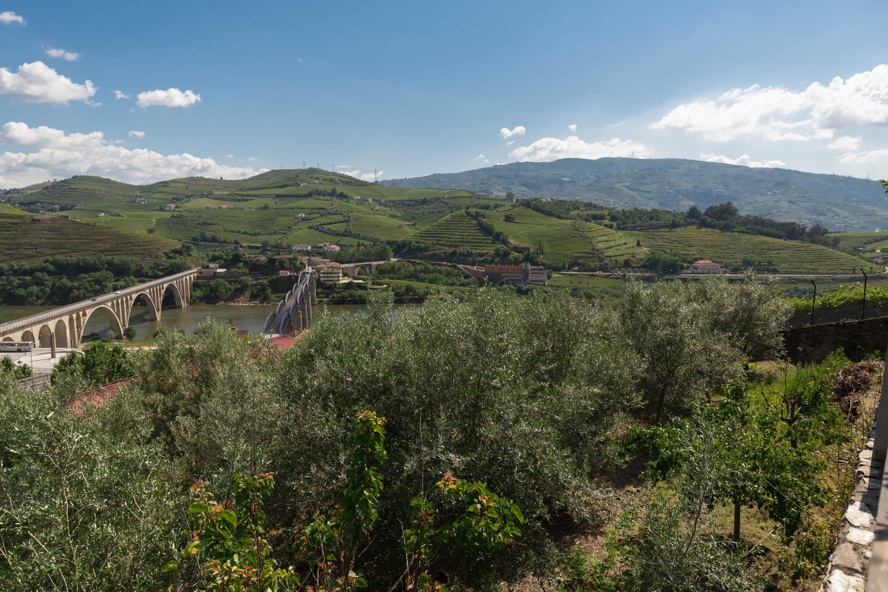 Gift card for Casa de São Domingos