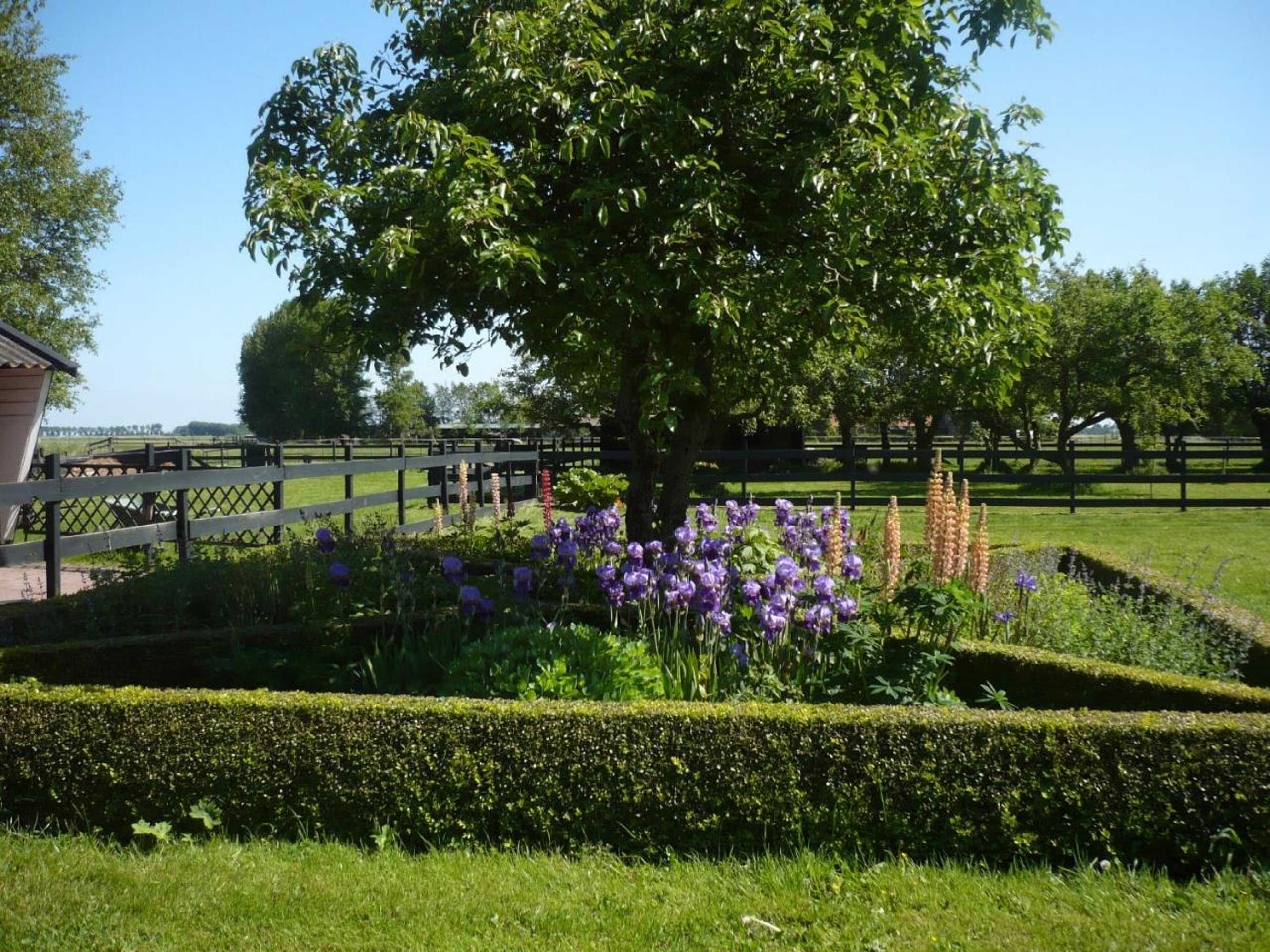 Gift card for Shepherds House B&b