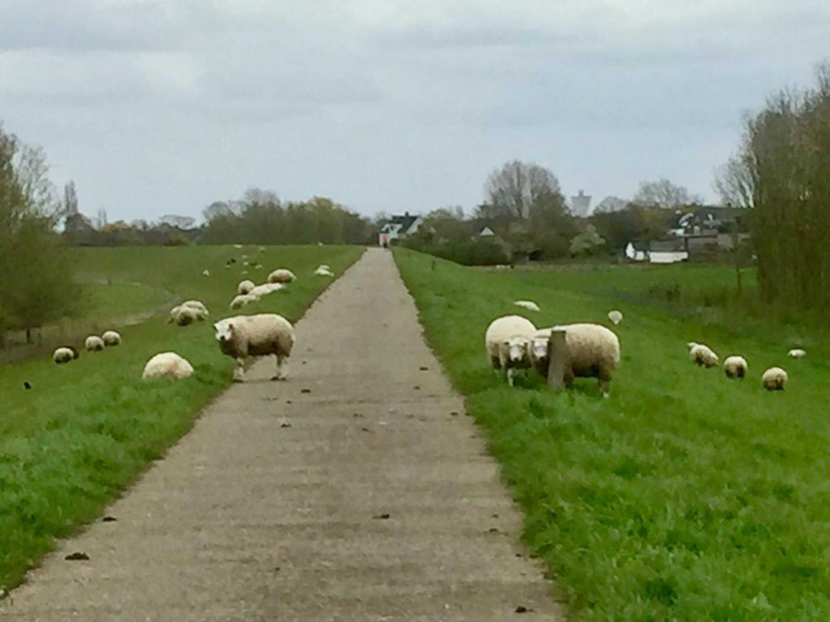 Gift card for B&b Gamerenwaard