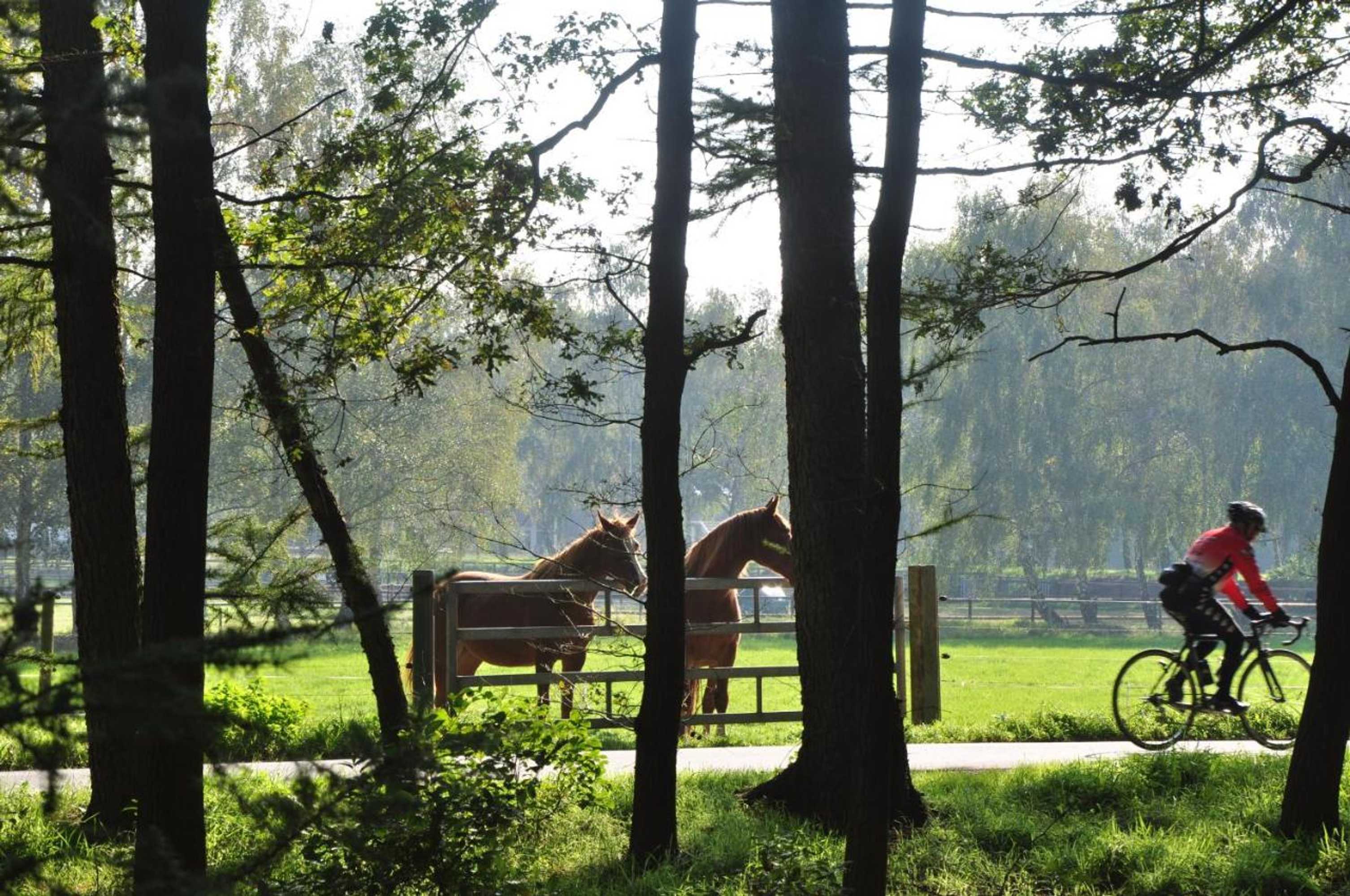 Gift card for Hotel Umberto