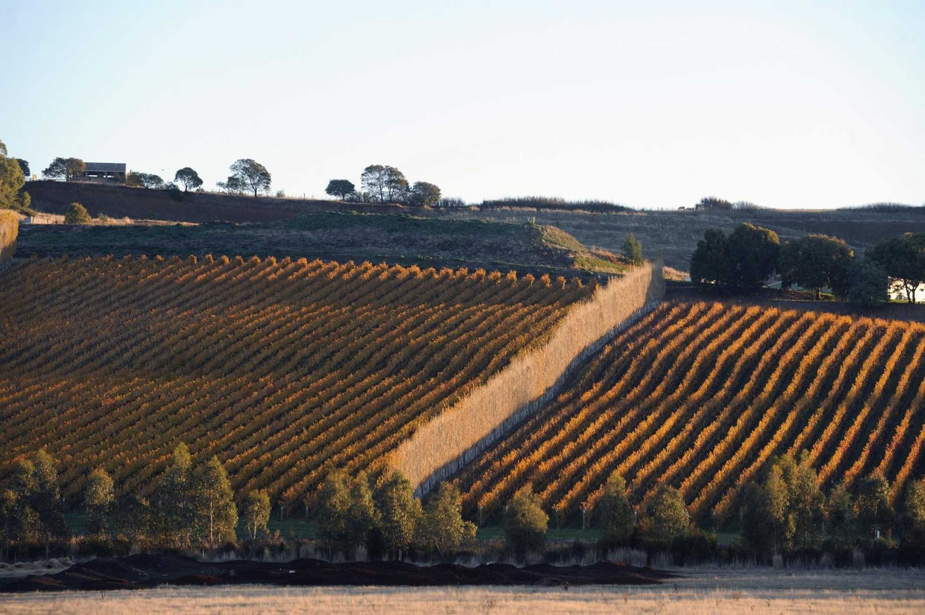 Gift card for Relbia Lodge