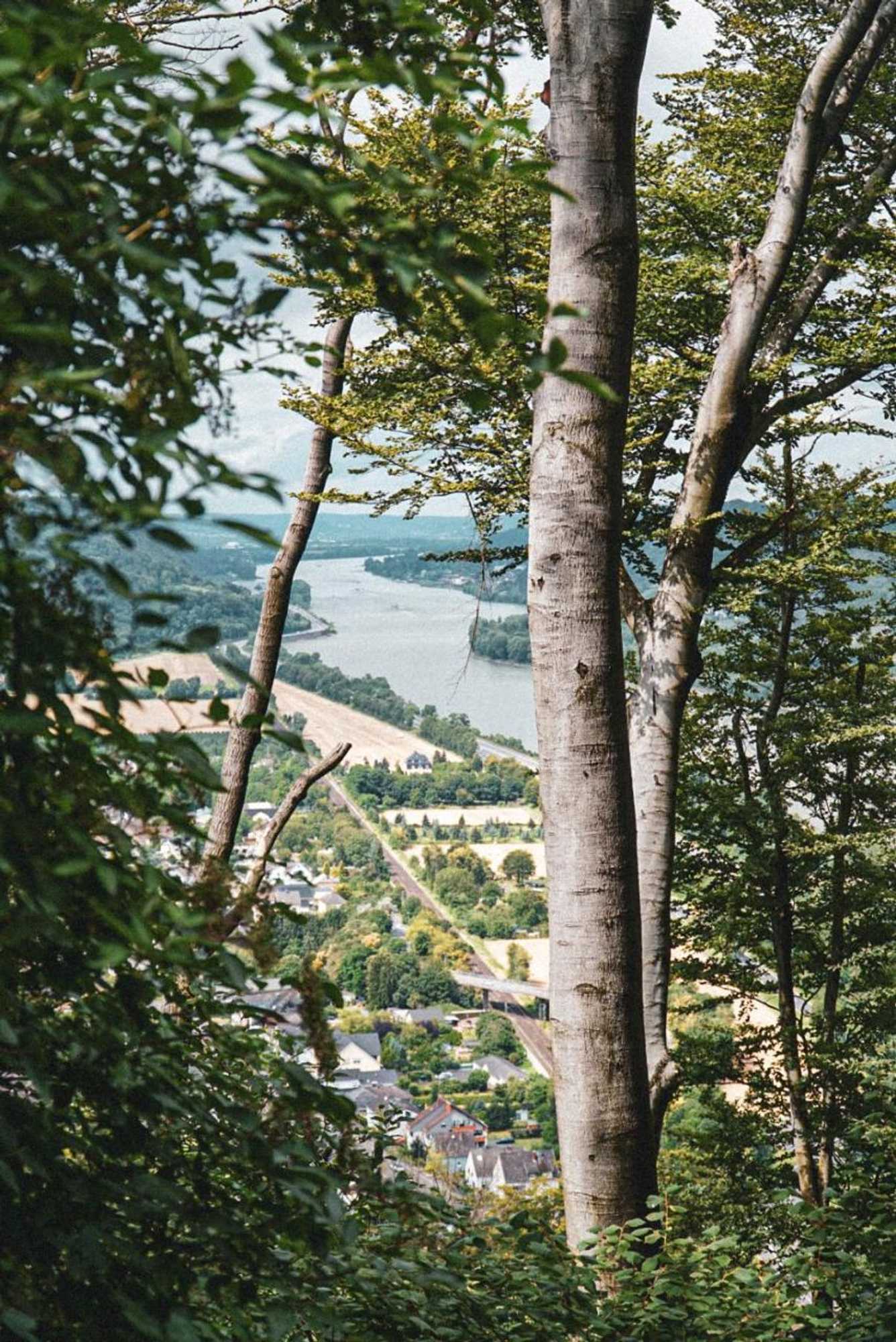 Gift card for Leutesdorfer Hof