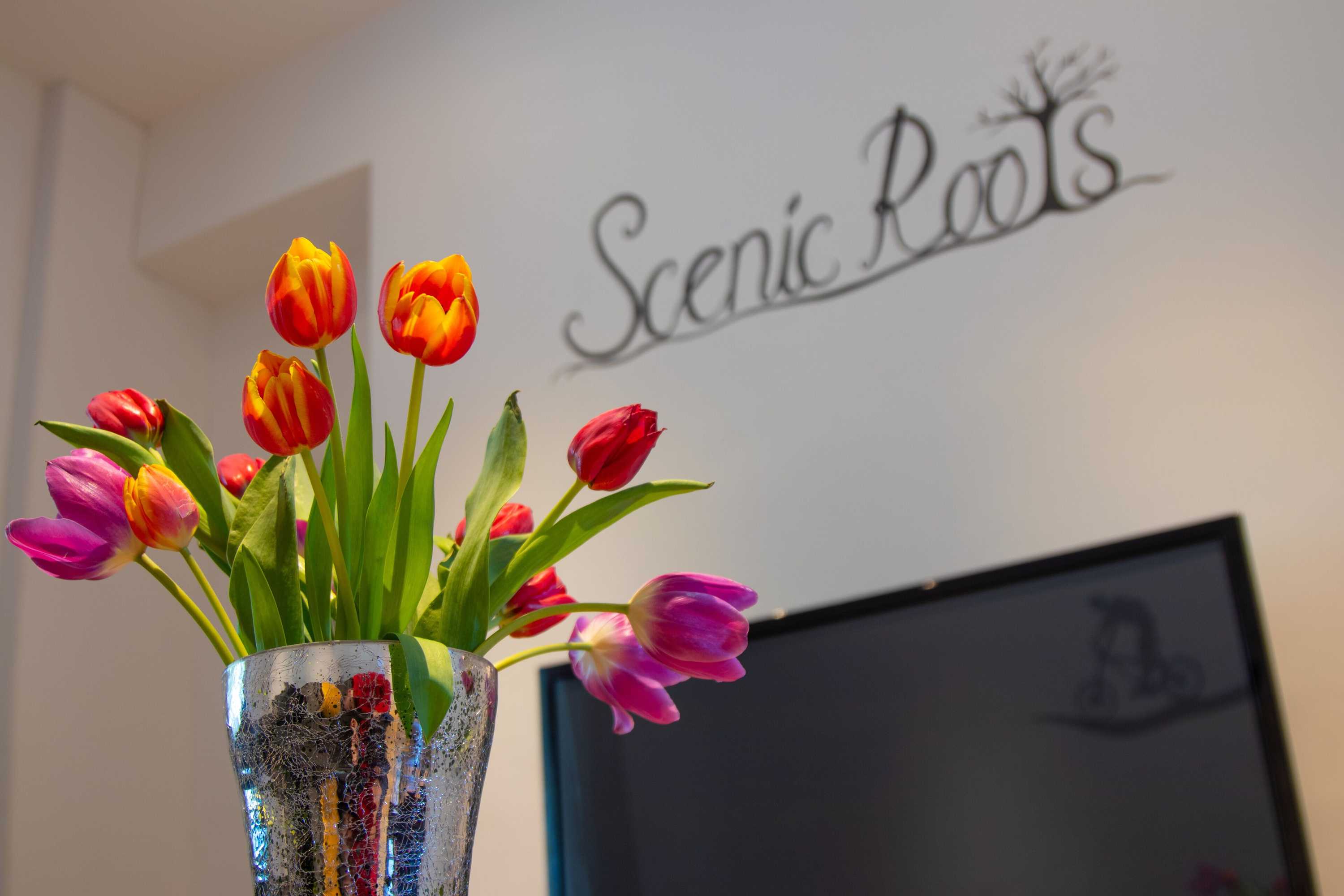 Gift card for Scenic Roots