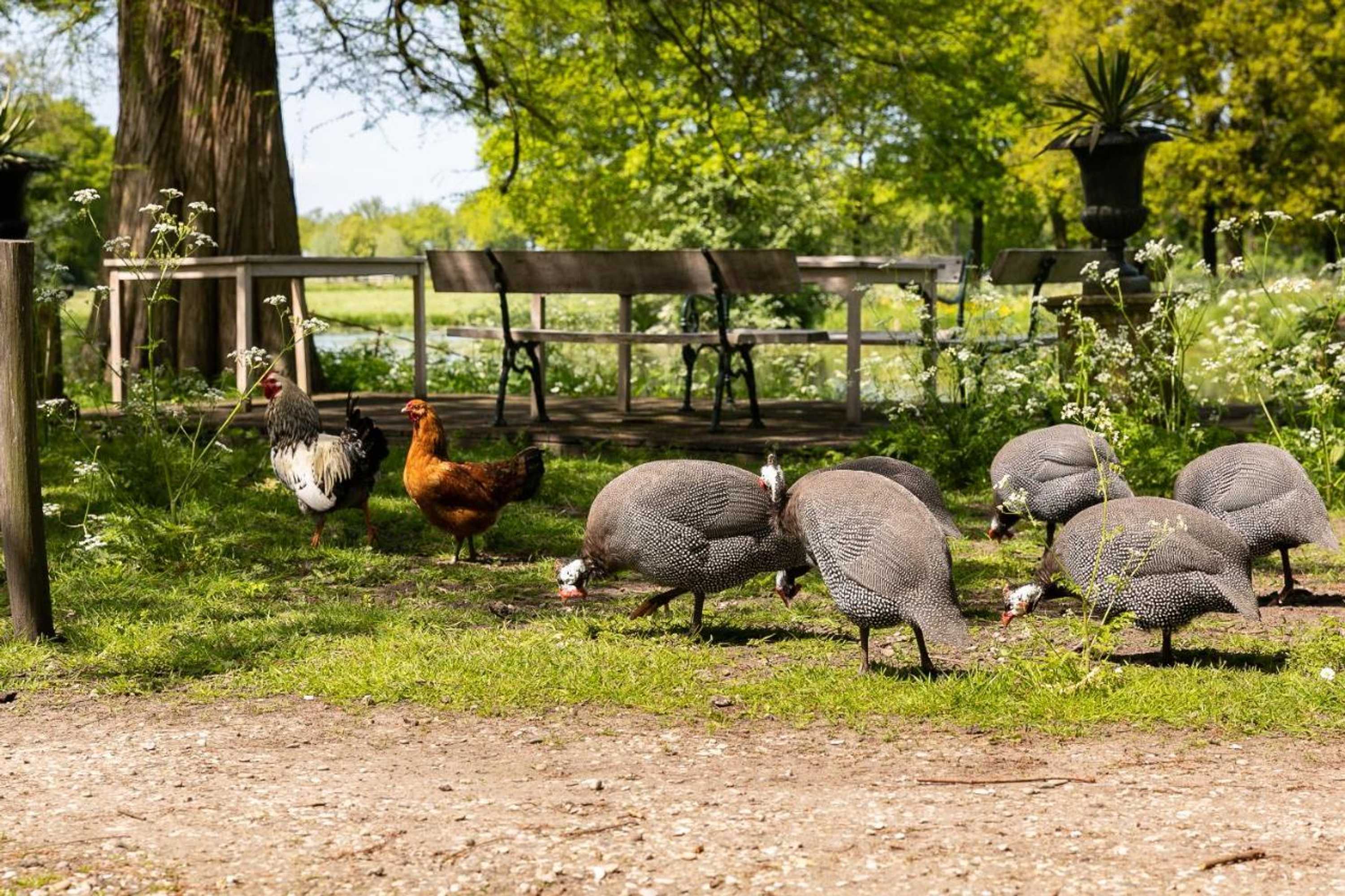 Gift card for Kasteel Sterkenburg