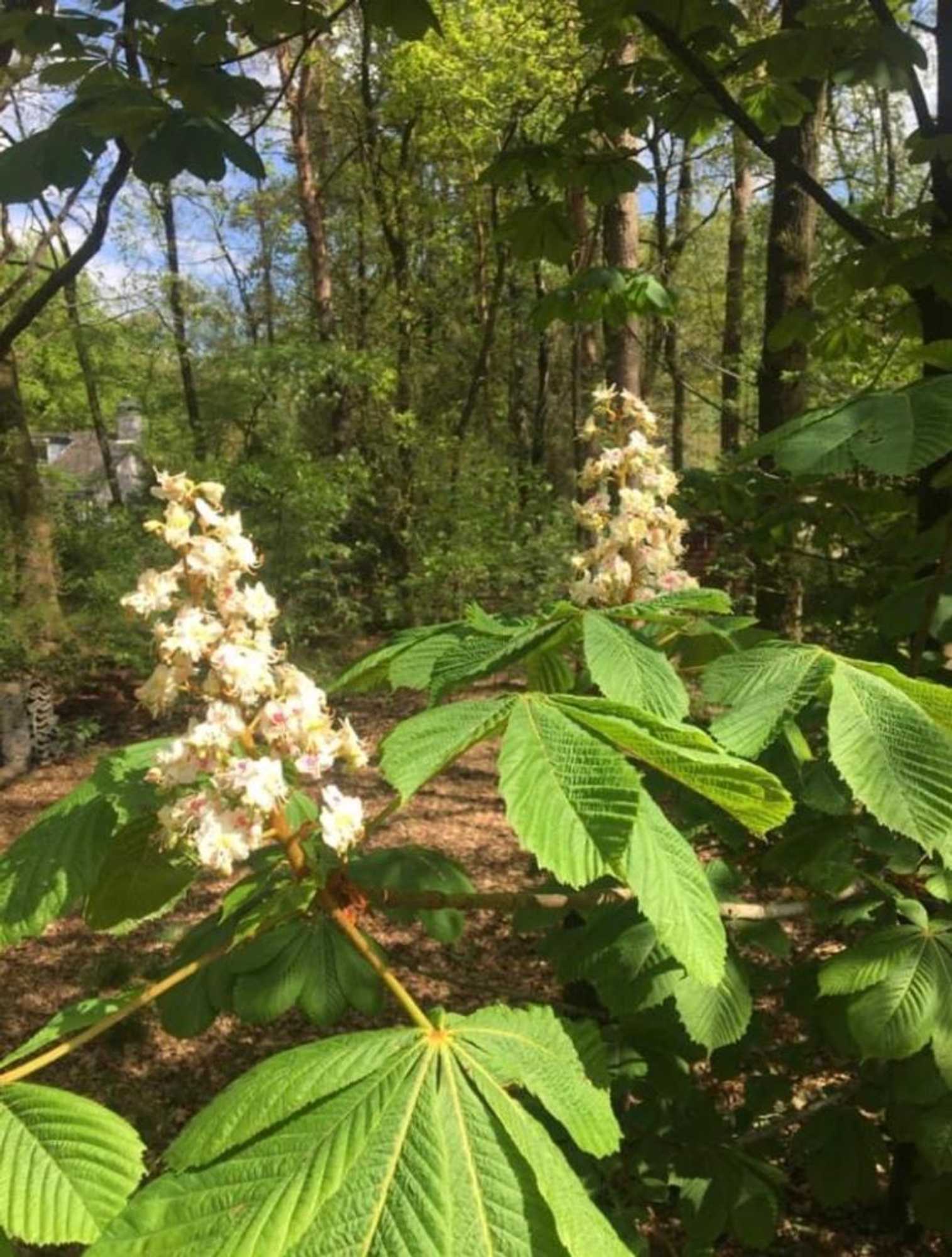 Gift card for 't Aarthuis