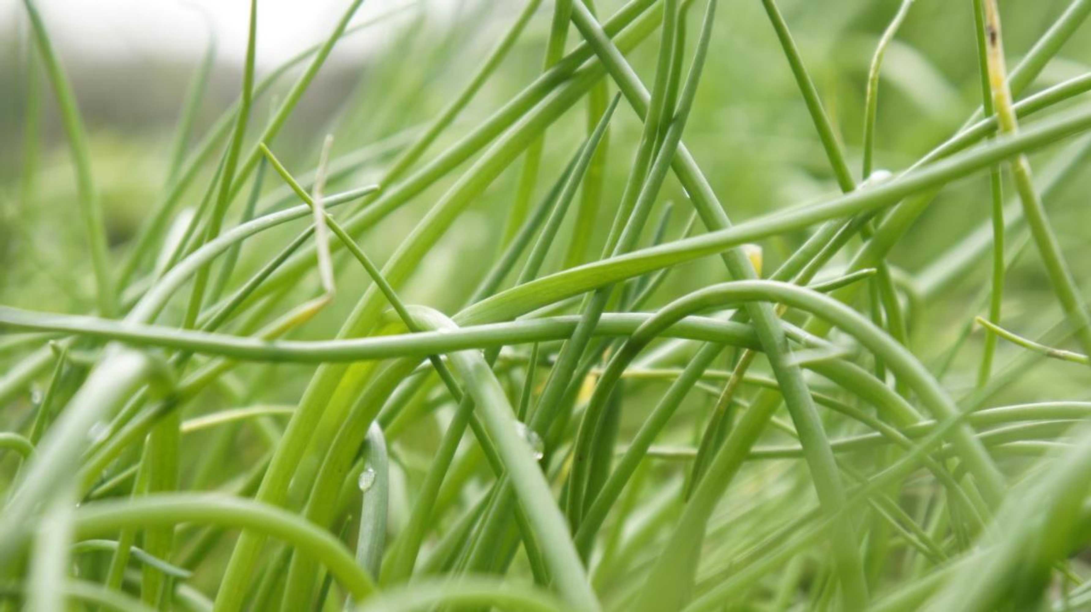 Gift card for Abergavenny Hotel