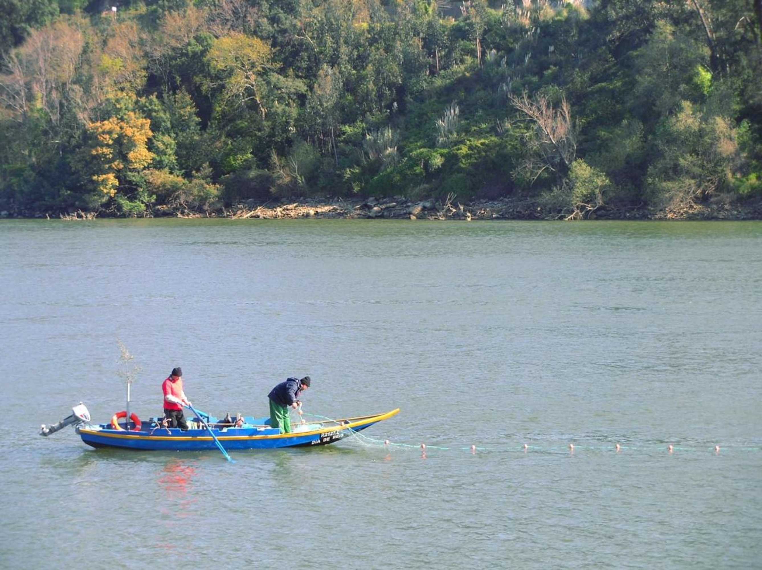 Gift card for Casa do Mestrinho