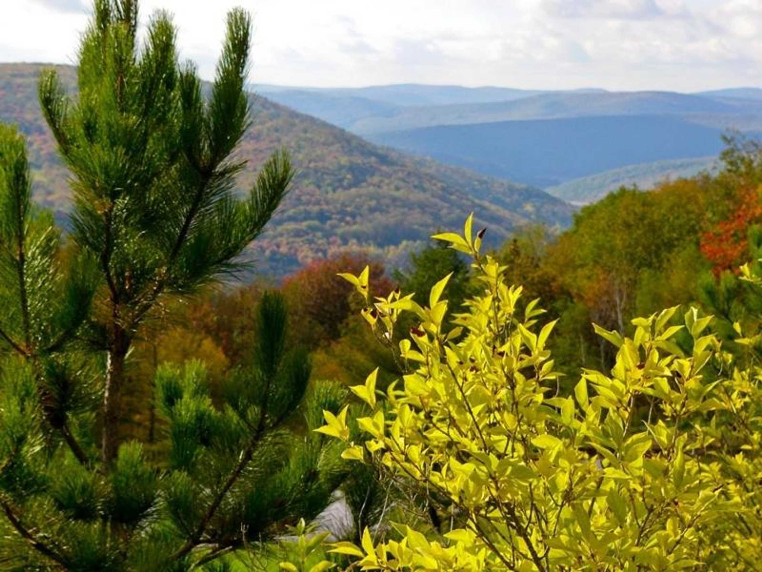 Gift card for Winter Clove Family Inn