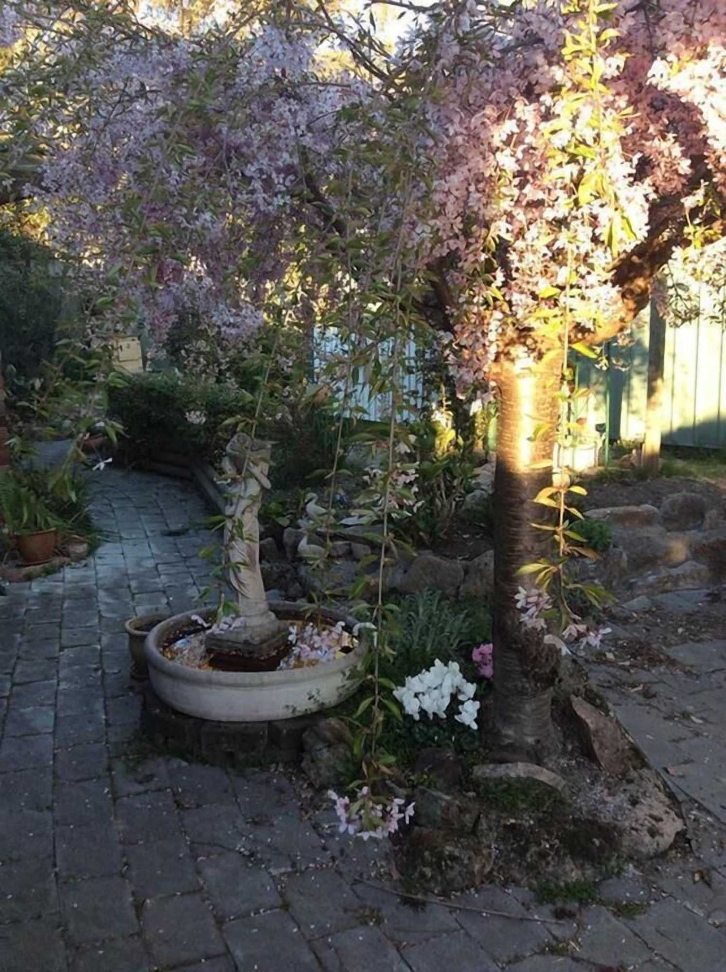 Gift card for Beechworth Gorge Walk Guest House Gift card for Beechworth Gorge Walk Guest House