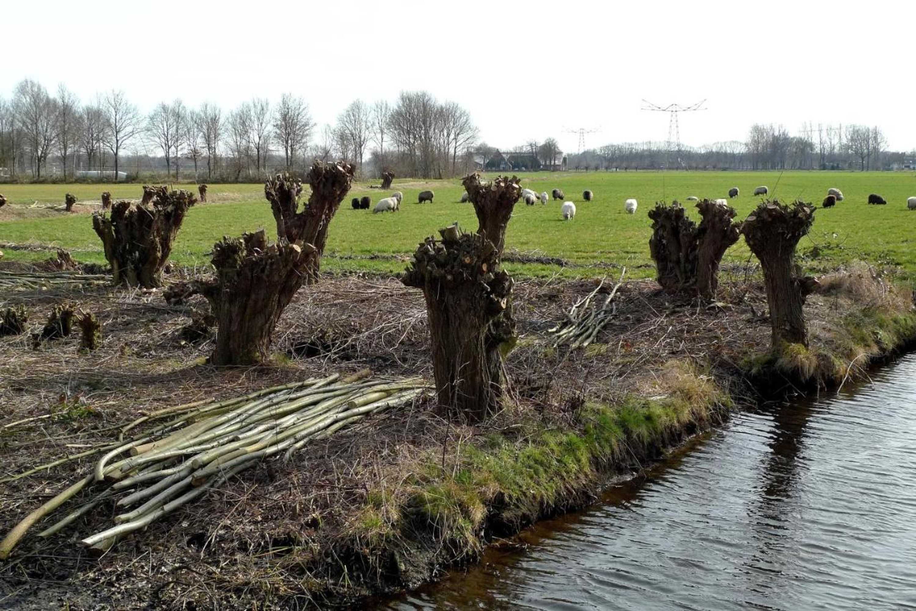 Gift card for Weibos Bed & Breakfast