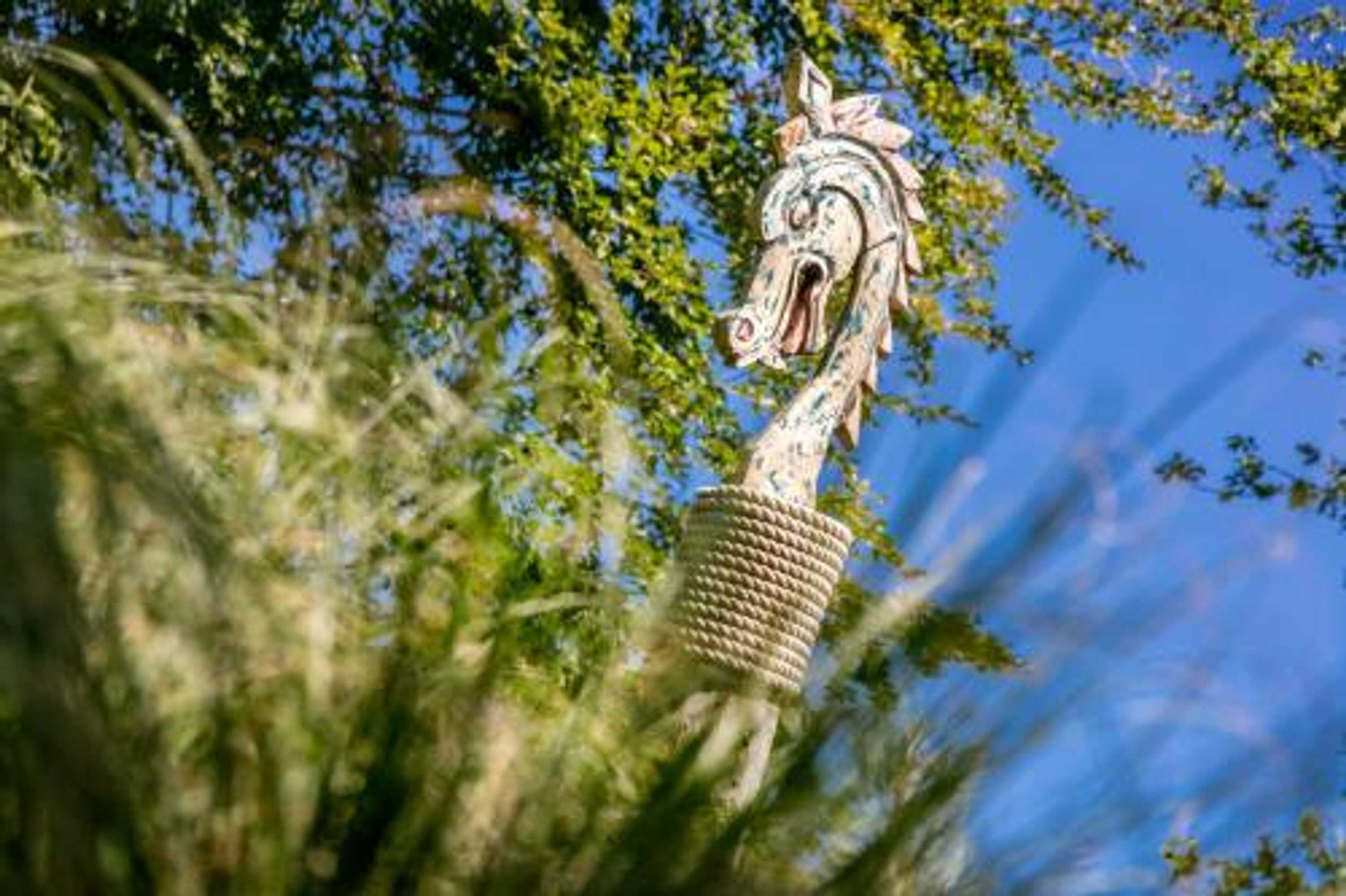Gift card for Safaritent Vakantiepark de Bergen Gift card for Safaritent Vakantiepark de Bergen