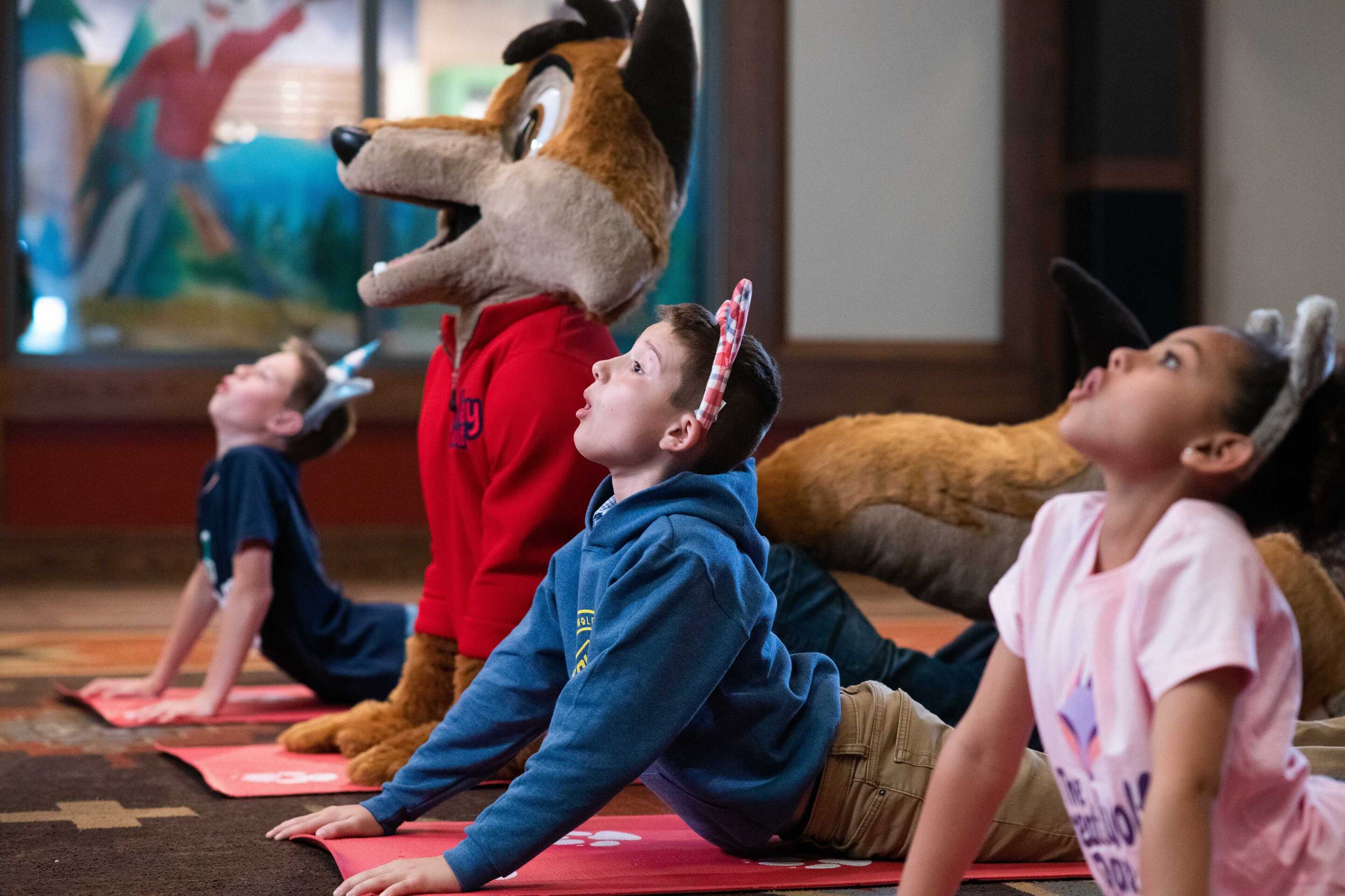 Gift card for Great Wolf Lodge - Pocono Mountains Gift card for Great Wolf Lodge - Pocono Mountains