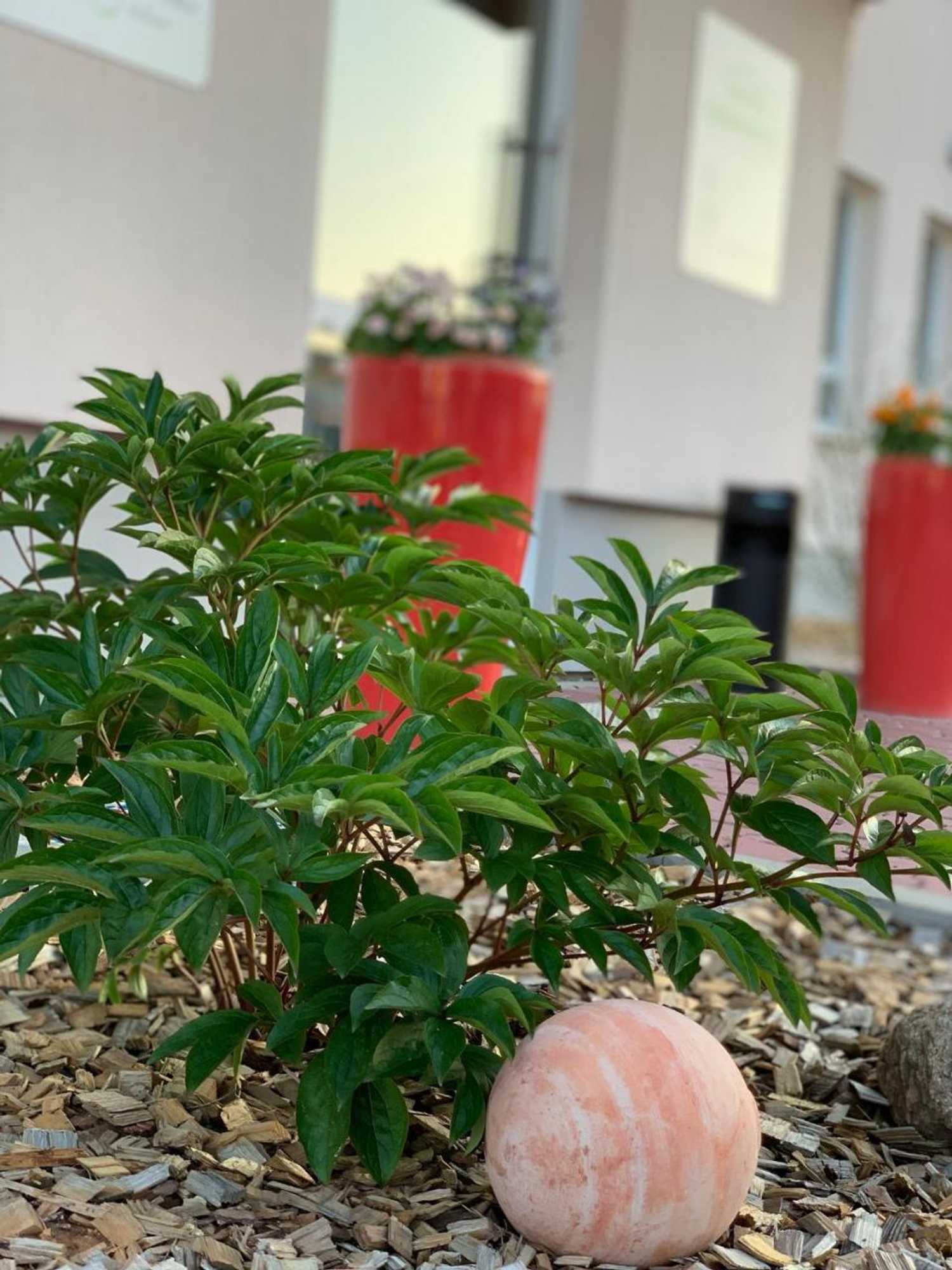 Gift card for Hotel Bannewitz