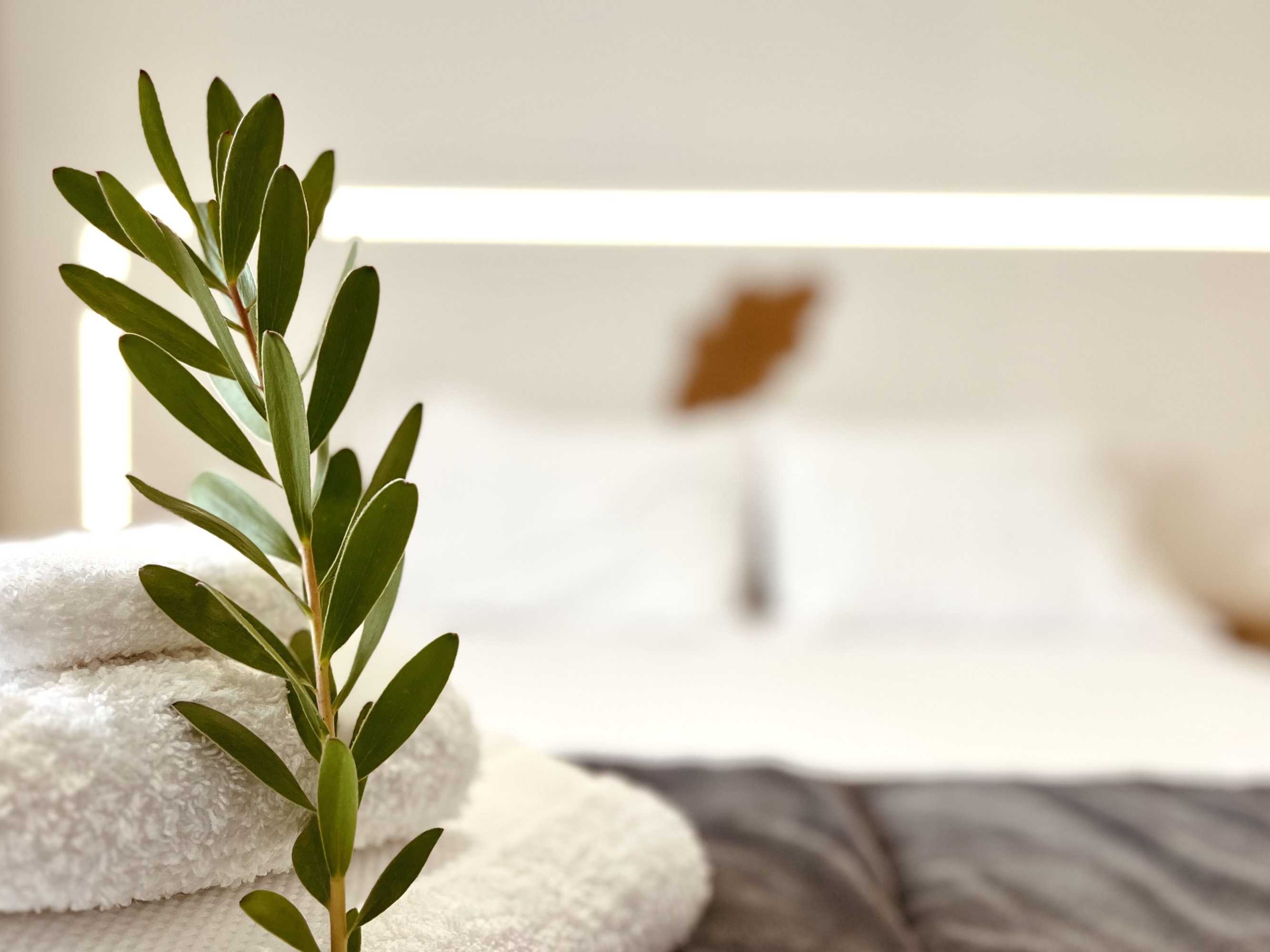 Gift card for Bhdouro Gift card for Bhdouro