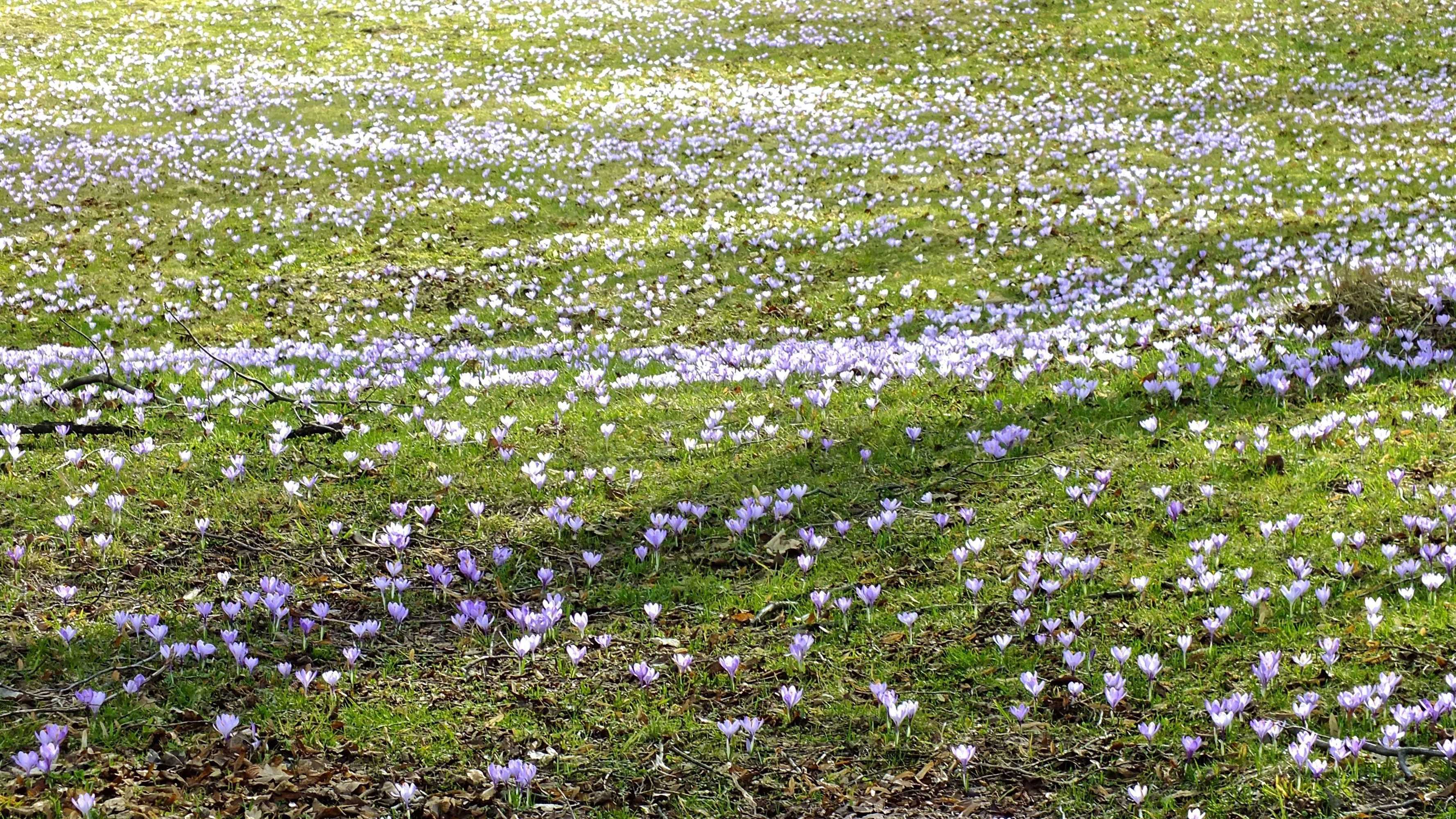 Gift card for Ferienhaus Drebach