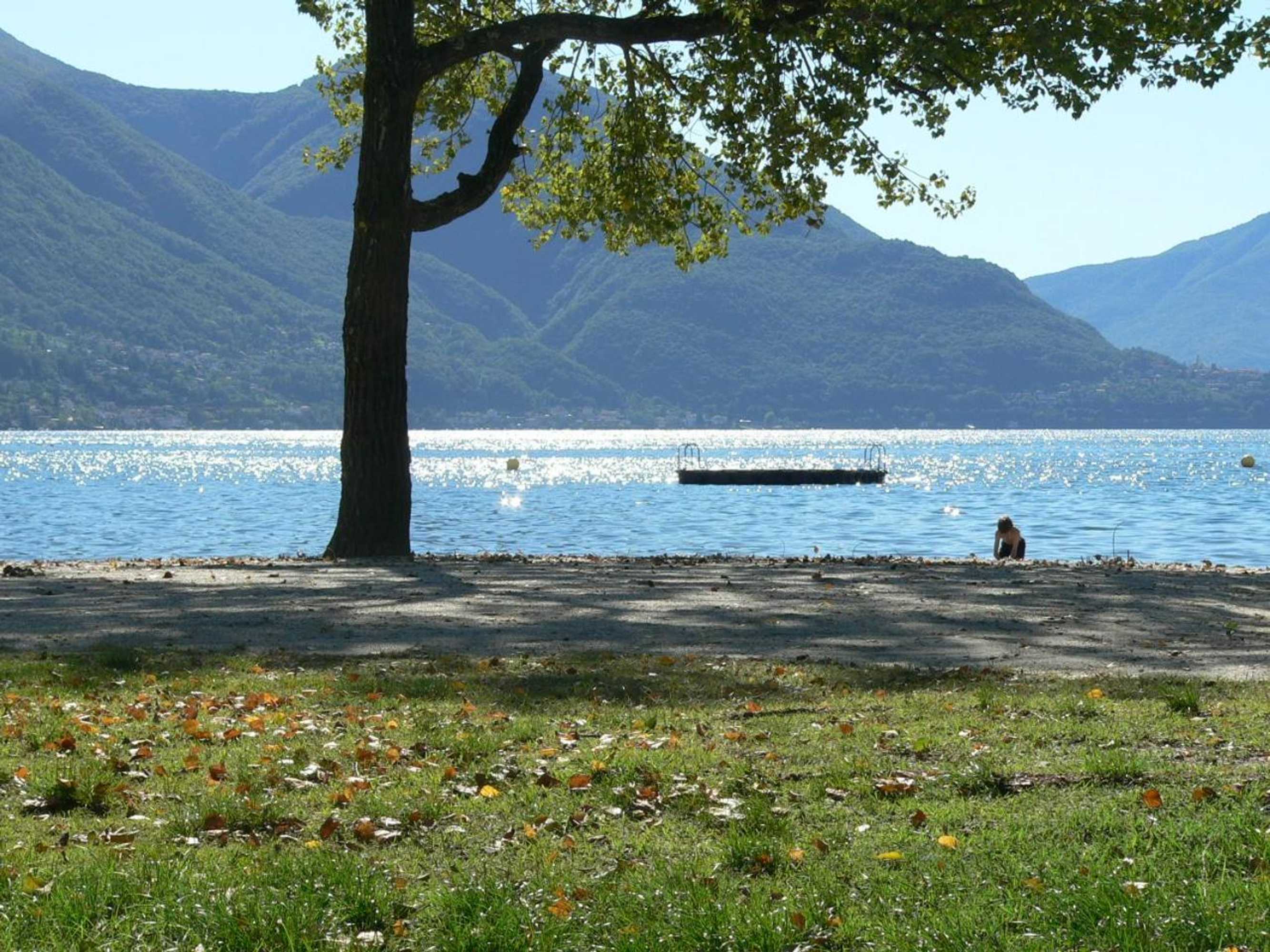 Gift card for Bnb Goldberg