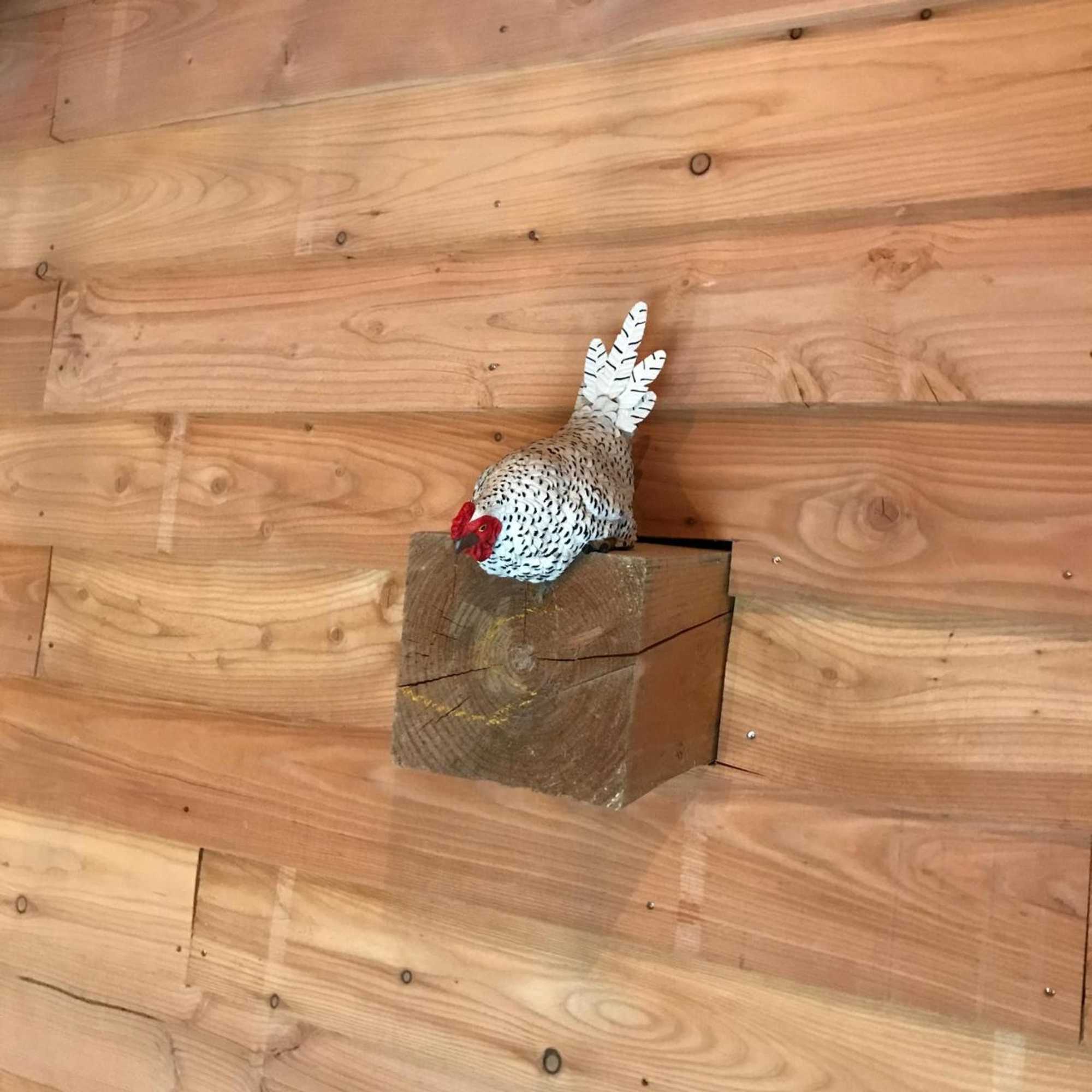 Gift card for De Grote Belt