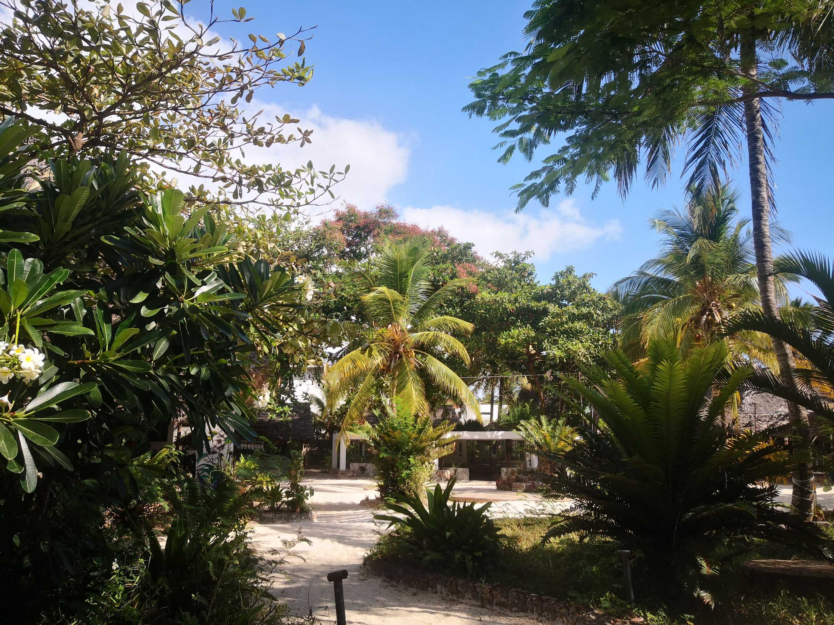 Gift card for Mambo Ocean Resort Gift card for Mambo Ocean Resort