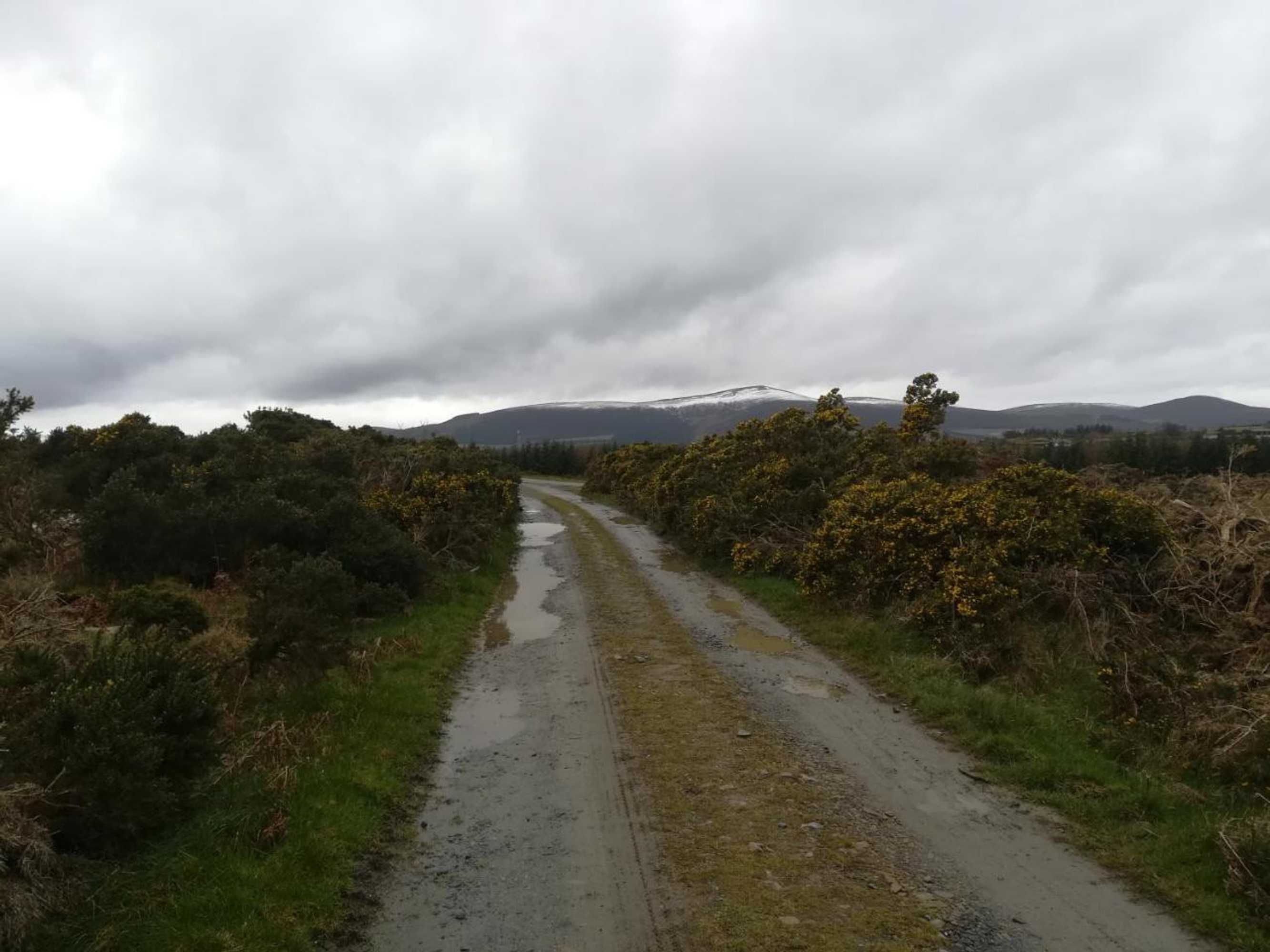 Gift card for Relaxing Space.