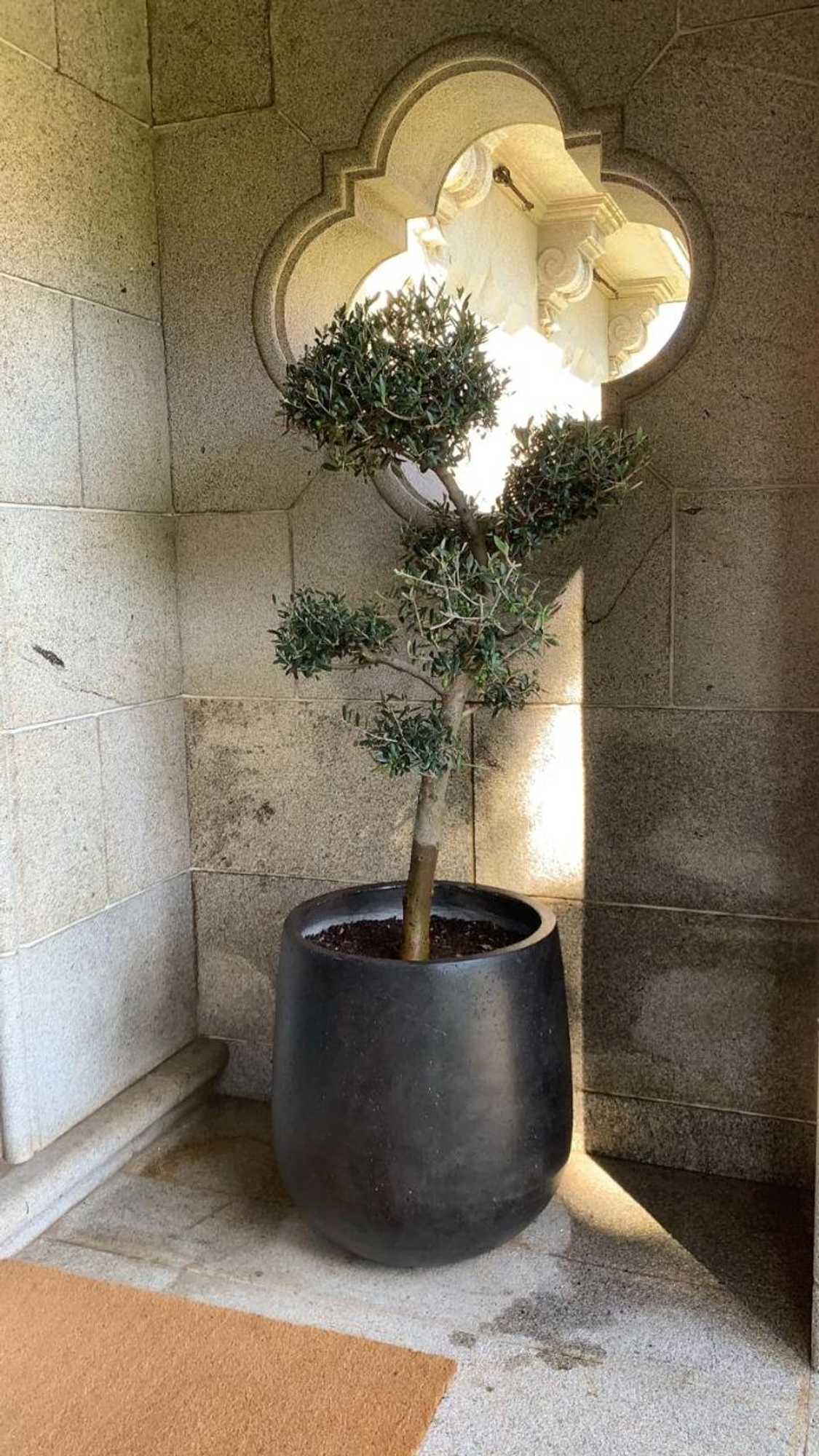 Gift card for 3 Marias Residence