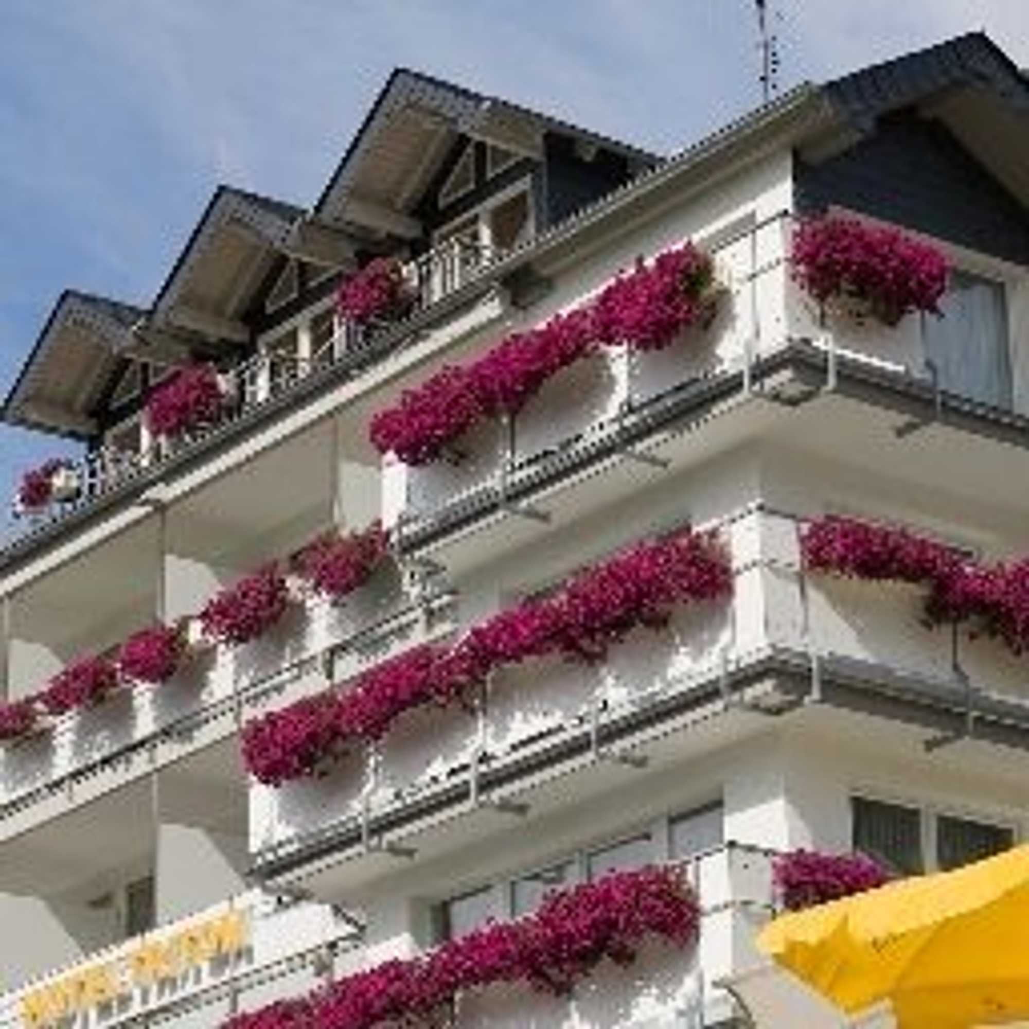 Gift card for Moselstern Hotel Brixiade &triton Gift card for Moselstern Hotel Brixiade &triton