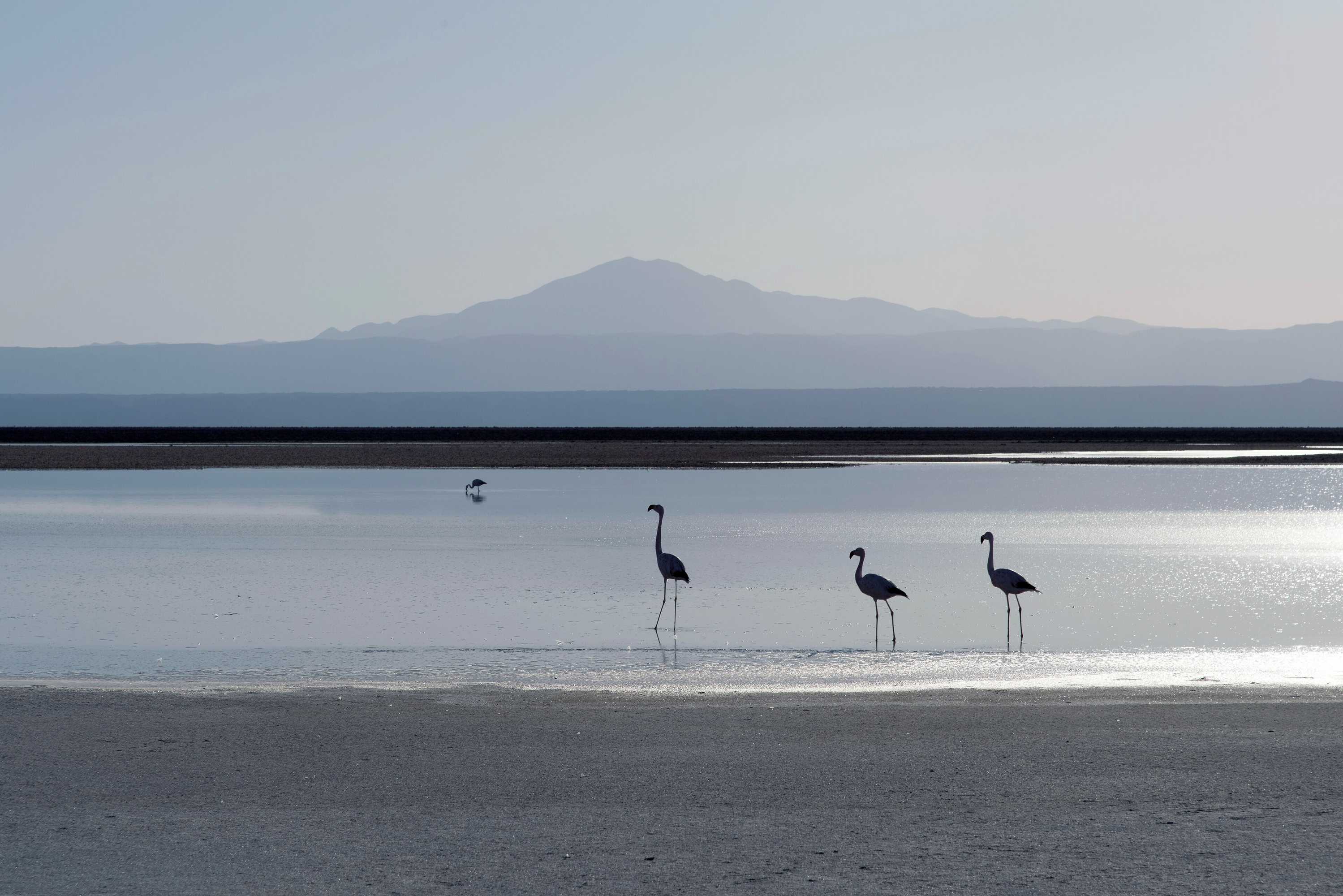 Gift card for Awasi Atacama