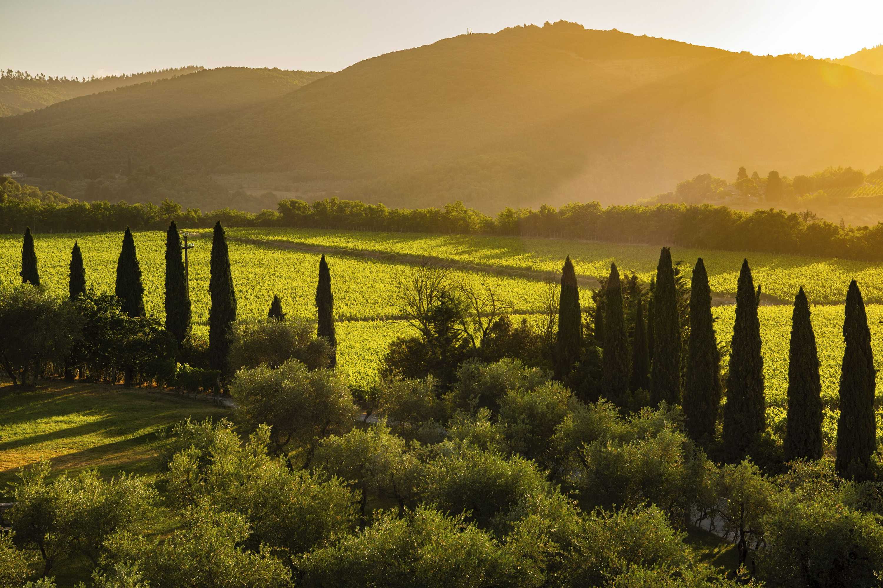 Gift card for Borgo San Felice Resort