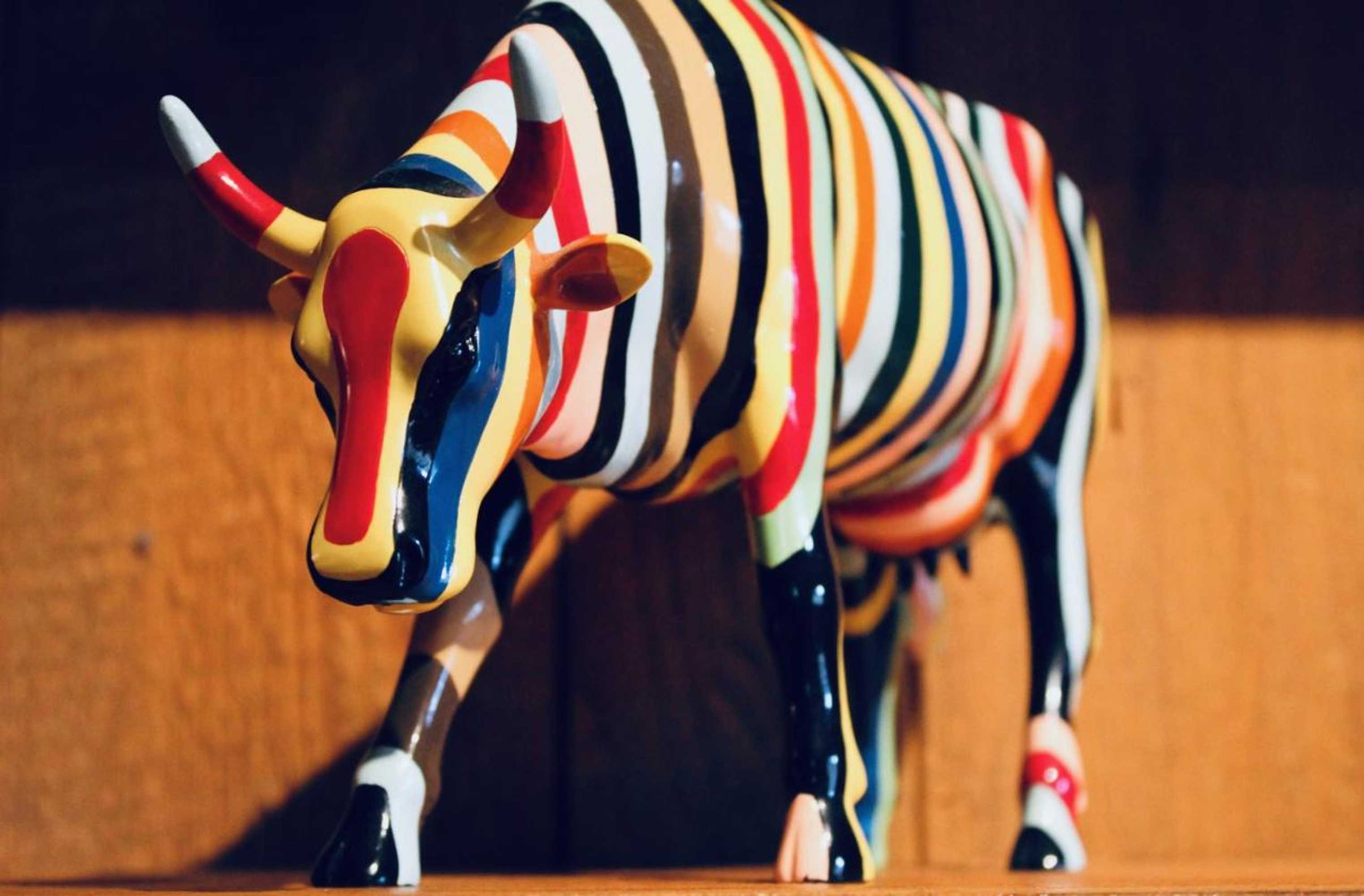 Gift card for Planchouet