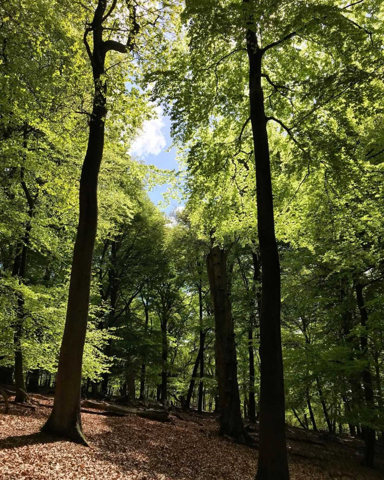 Gift card for Hotel De Werelt Garderen